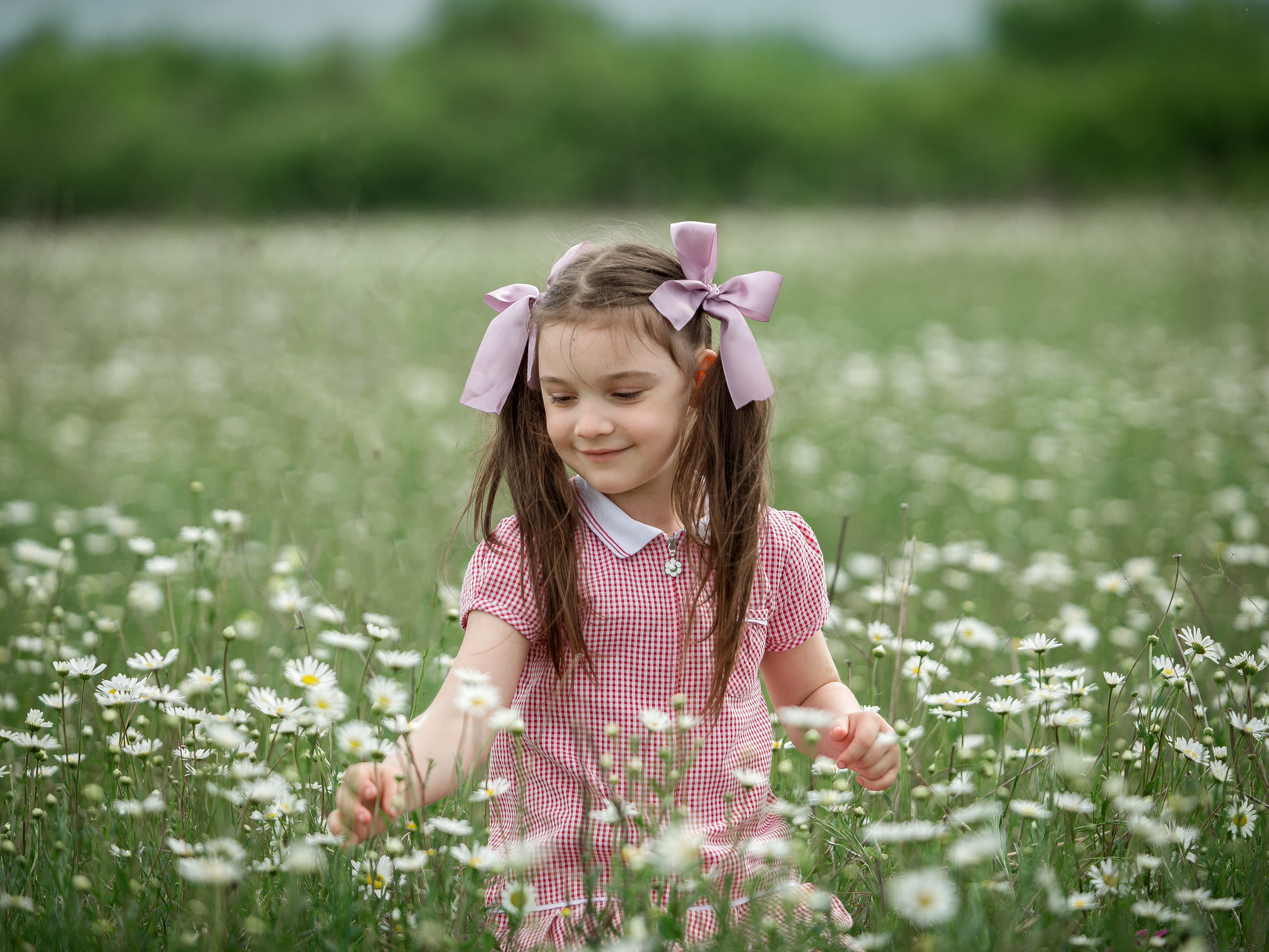 Детский фотограф в Севастополе (фотосессия в ромашковом поле). Ознакомиться с портфолио, уточнить условия и цены можно на сайте или по телефону, указанному в разделе "Контакты", предварительная запись по телефону +79788481042