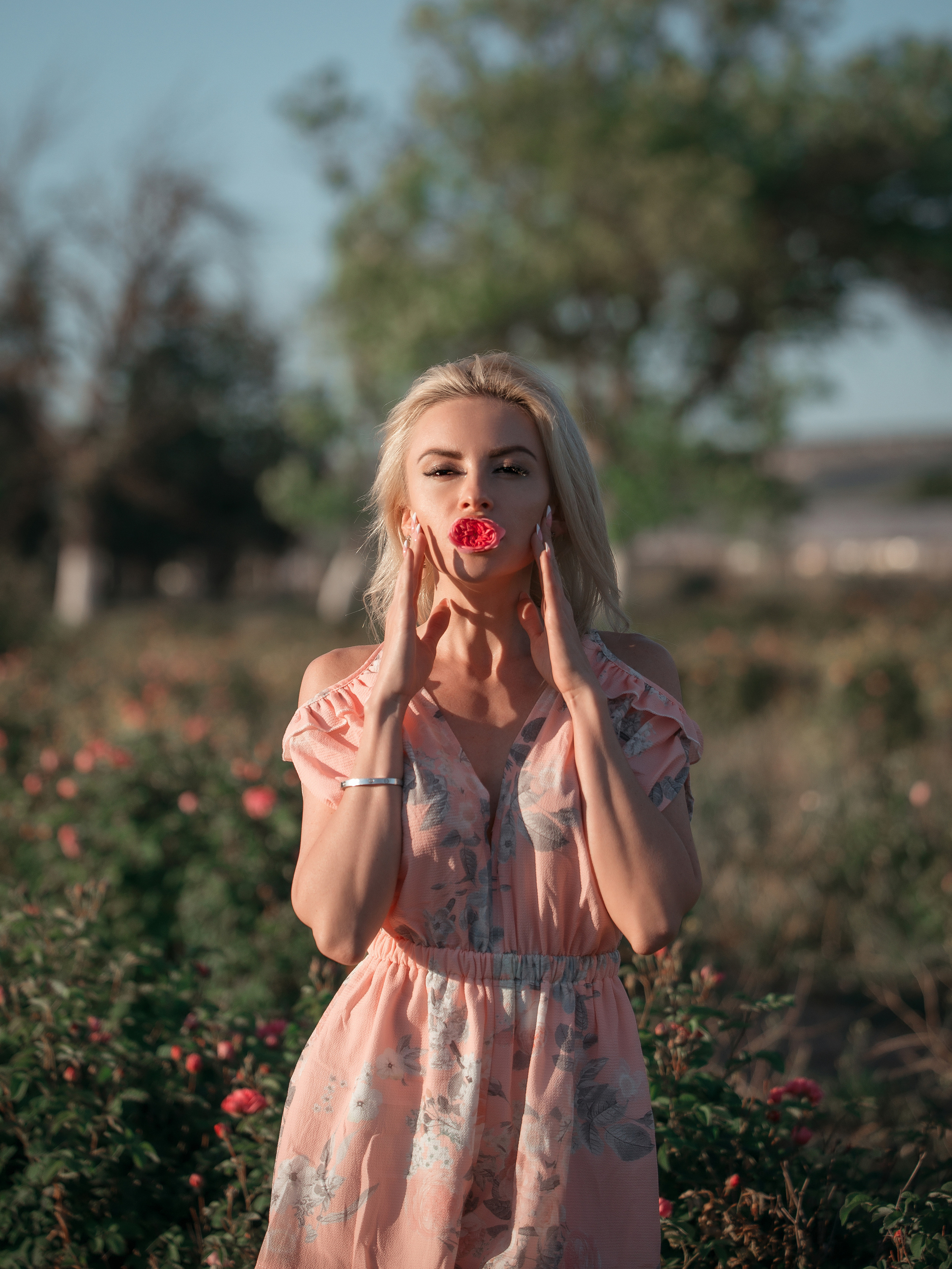 Фотосессия на плантациях цветущих роз в Крыму. Ознакомиться с портфолио, уточнить условия и цены можно на сайте или по телефону, указанному в разделе "Контакты", предварительная запись по телефону +79788481042