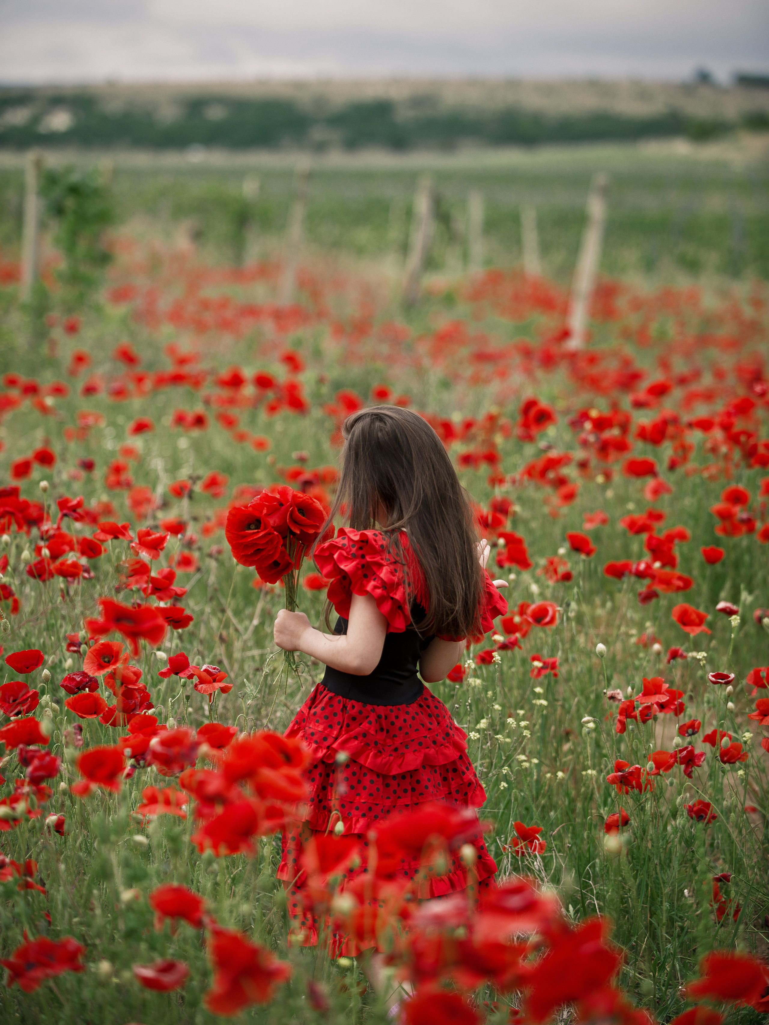 Фотосессия в цветущих маках в Крыму. Ознакомиться с портфолио, уточнить условия и цены можно на сайте или по телефону, указанному в разделе "Контакты", предварительная запись по телефону +79788481042