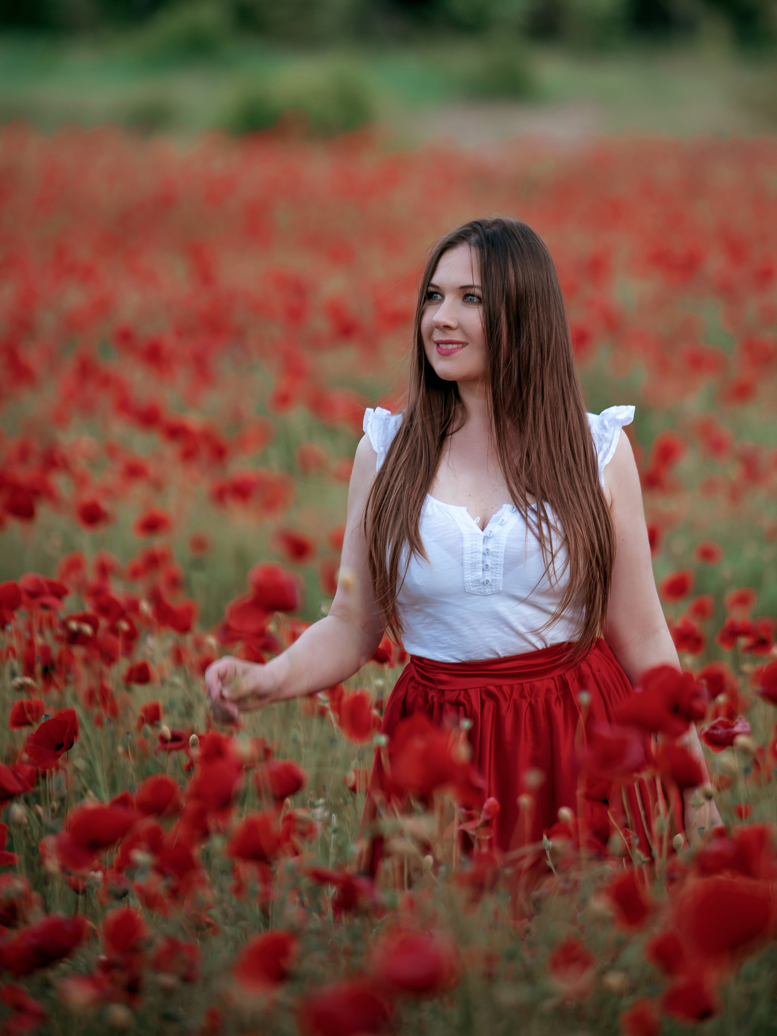 Фотосессия в маковом поле в Севастополе. Ознакомиться с портфолио, уточнить условия и цены можно на сайте или по телефону, указанному в разделе "Контакты", предварительная запись по телефону +79788481042