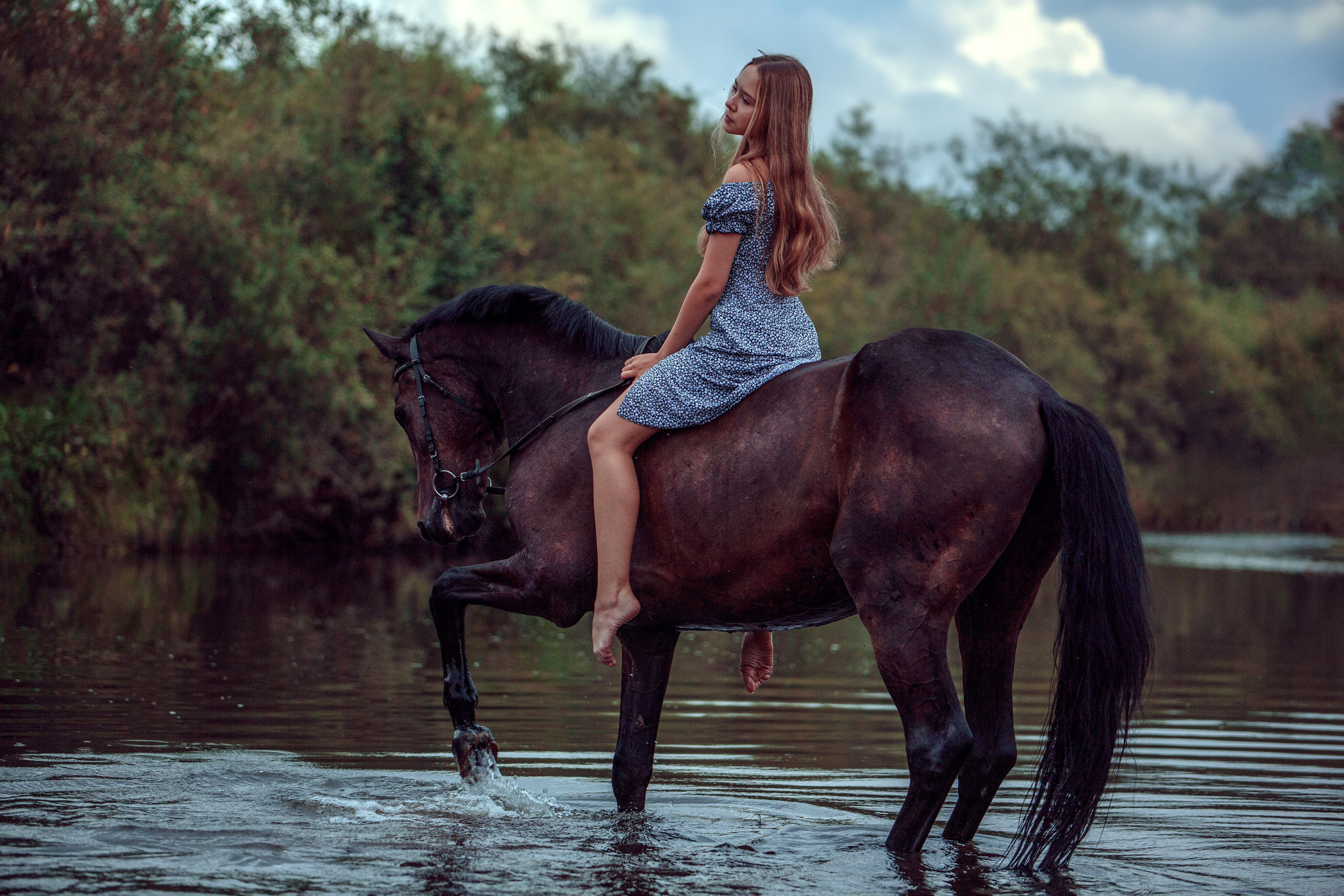 Конный двор. Конный фотограф в Красноярске — Любовь Похабова