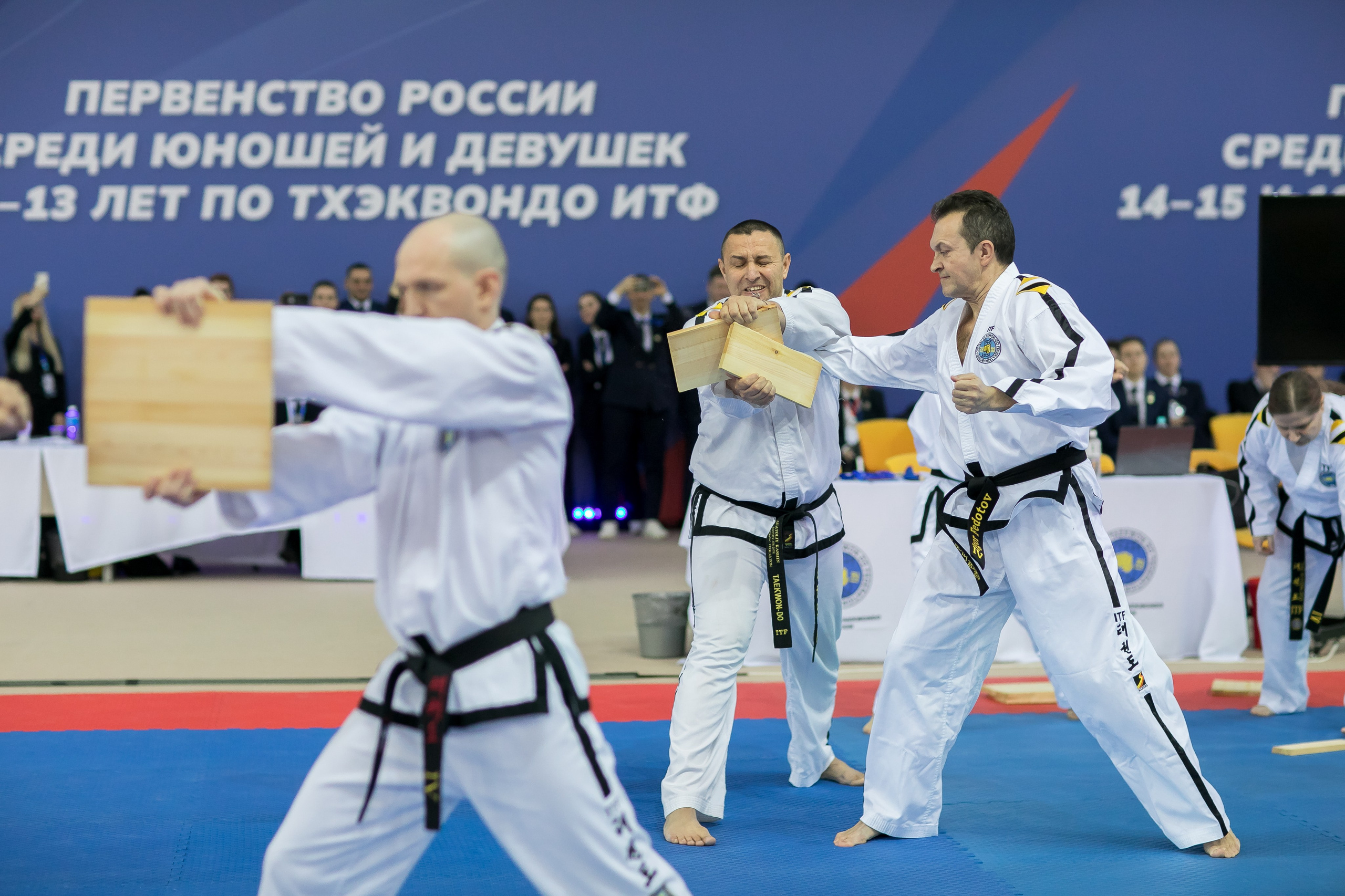 Тхэквондо. Фотограф в Сочи, Краснодаре и Ростове на Дону