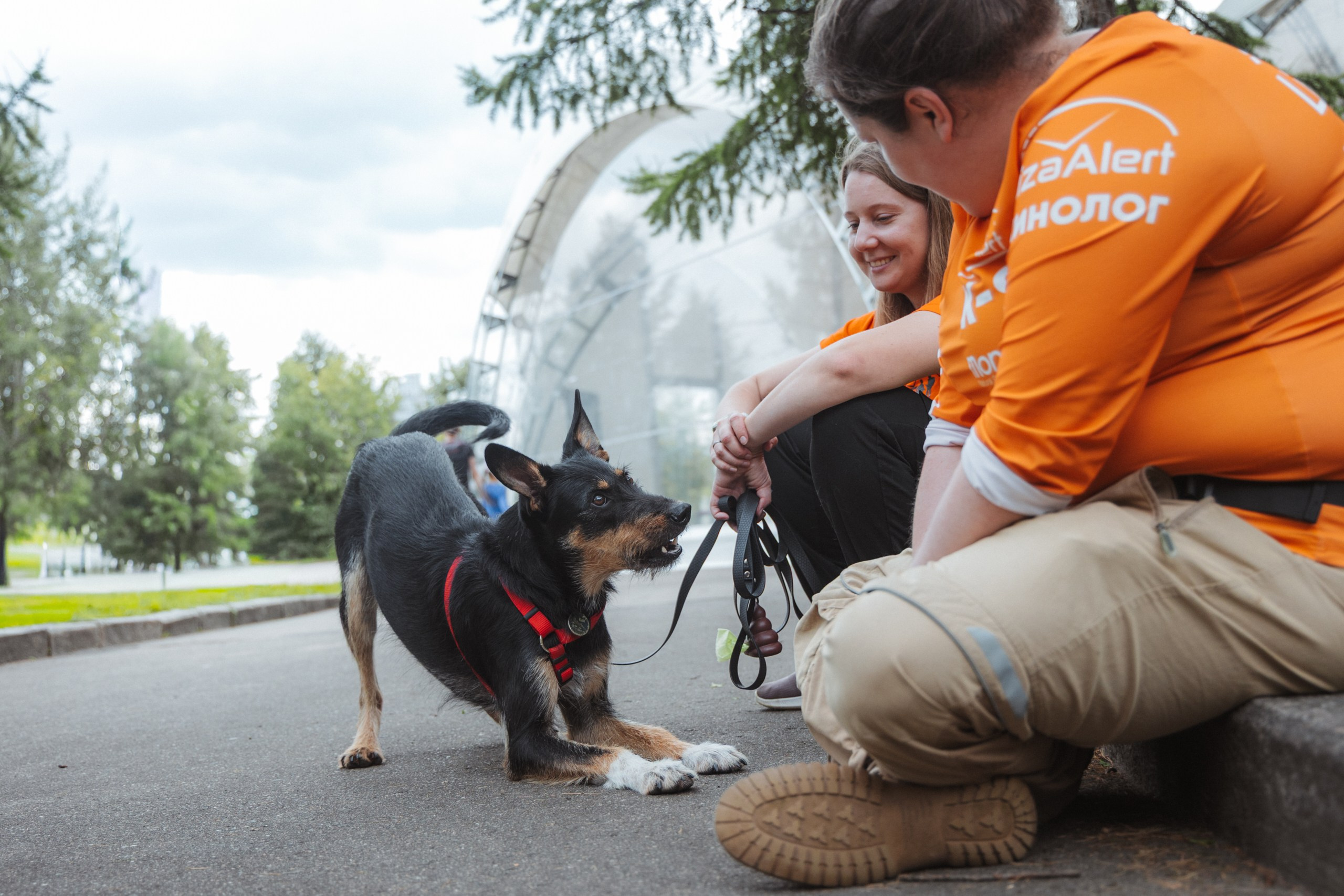День Фронтовой Собаки (поисково-спасательные собаки). Фотограф Ирина Астор