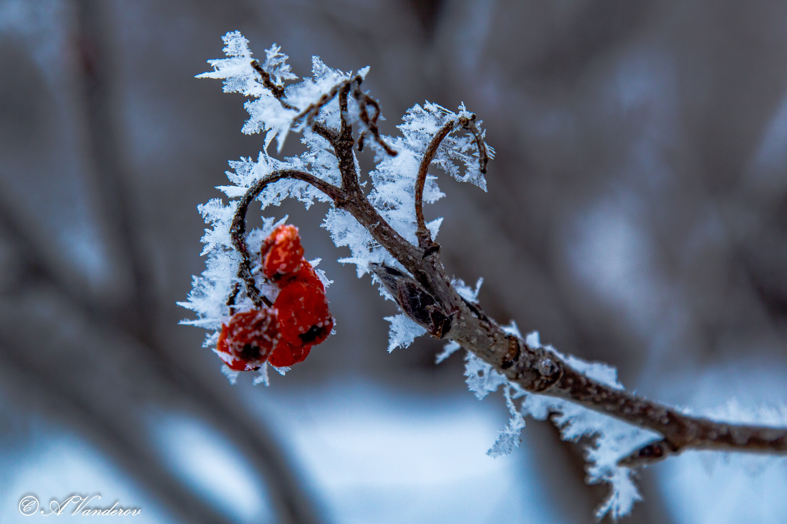 Красота природы. Фотограф Омск | Александр Вандеров