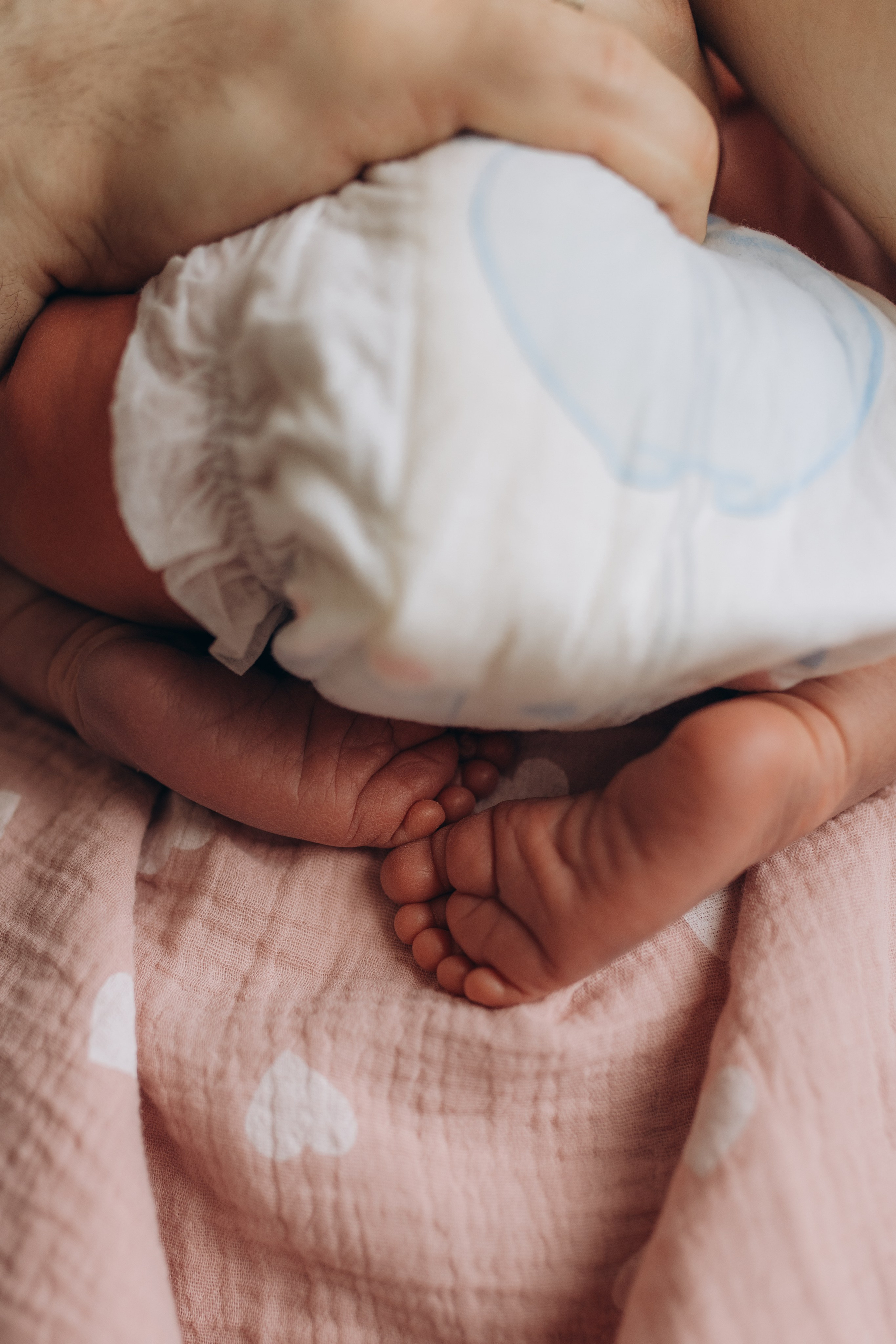 Ангелина. Семейный фотограф в Санкт-Петербурге Виктория Кучерова