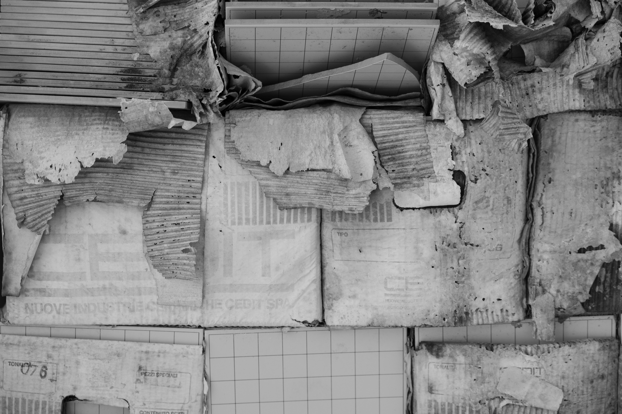 Art prints. Фотограф алина стерхова, алина стерхова фотограф, фотограф москва