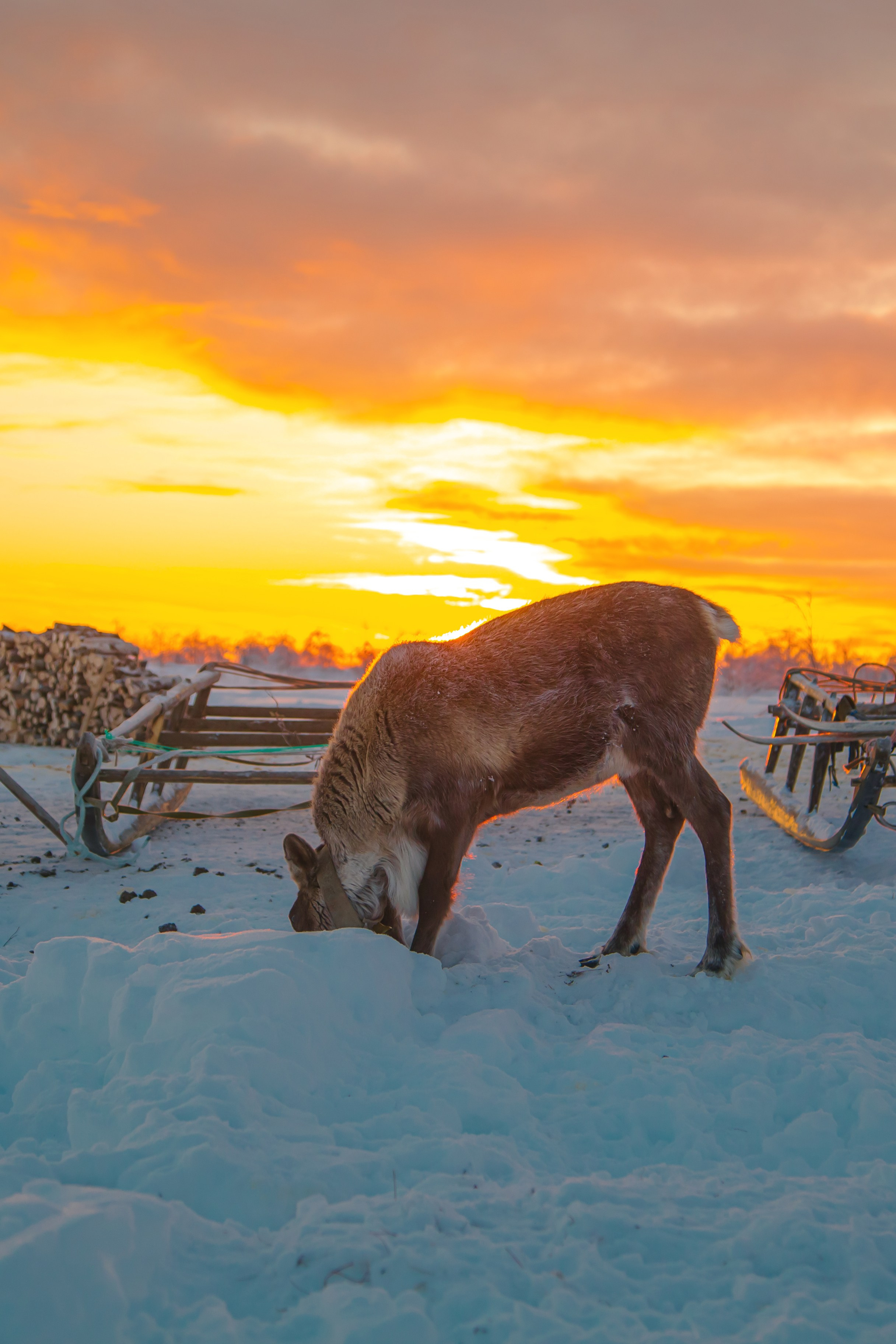Ненецкий автономный округ. Тревел-фотограф Елизавета Ларионова