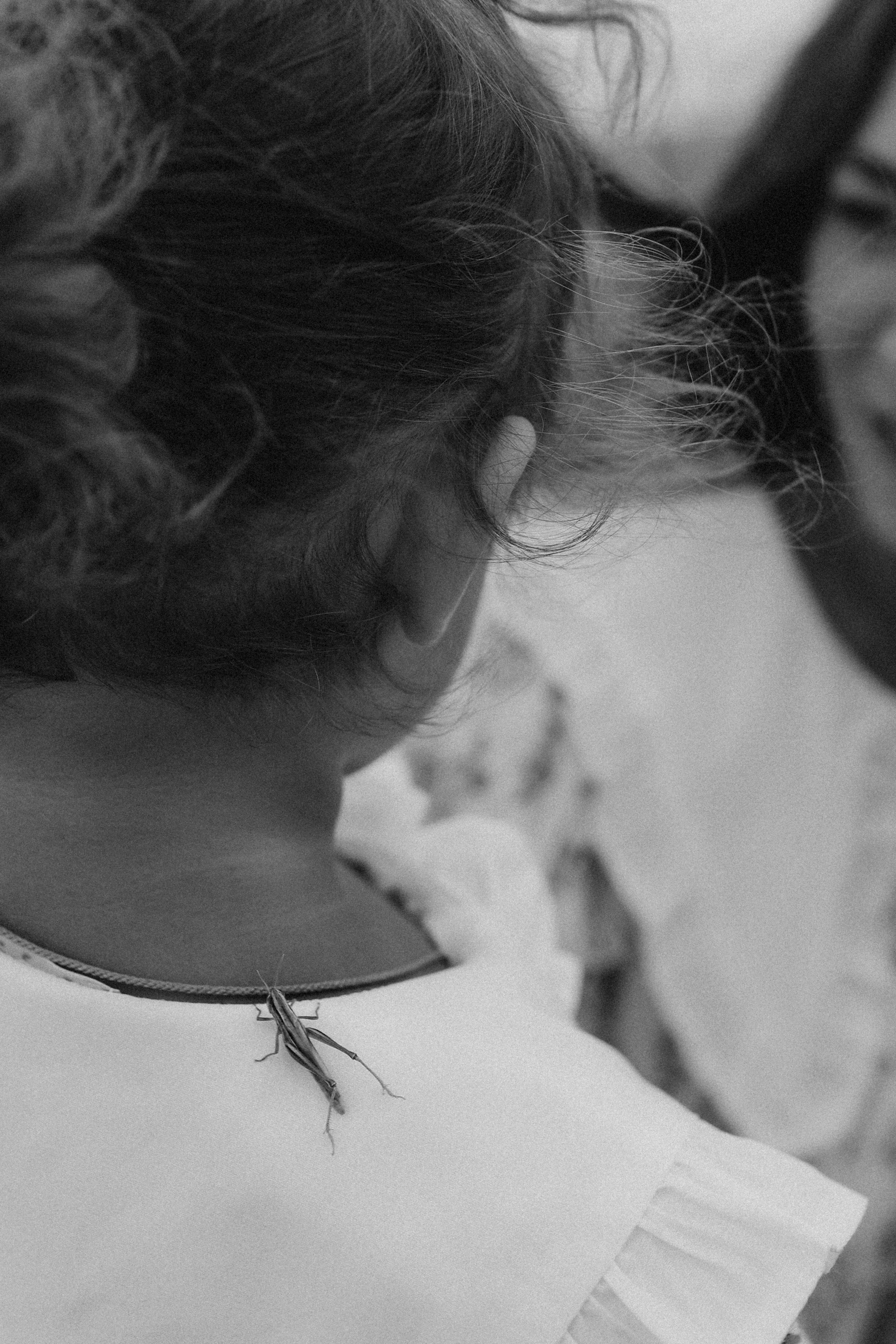 Пойдем, словлю тебе кузнечика. Свадебный фотограф в Севастополе и Крыму. Видеограф на свадьбу Крым, Севастополь, Ялта, Симферополь