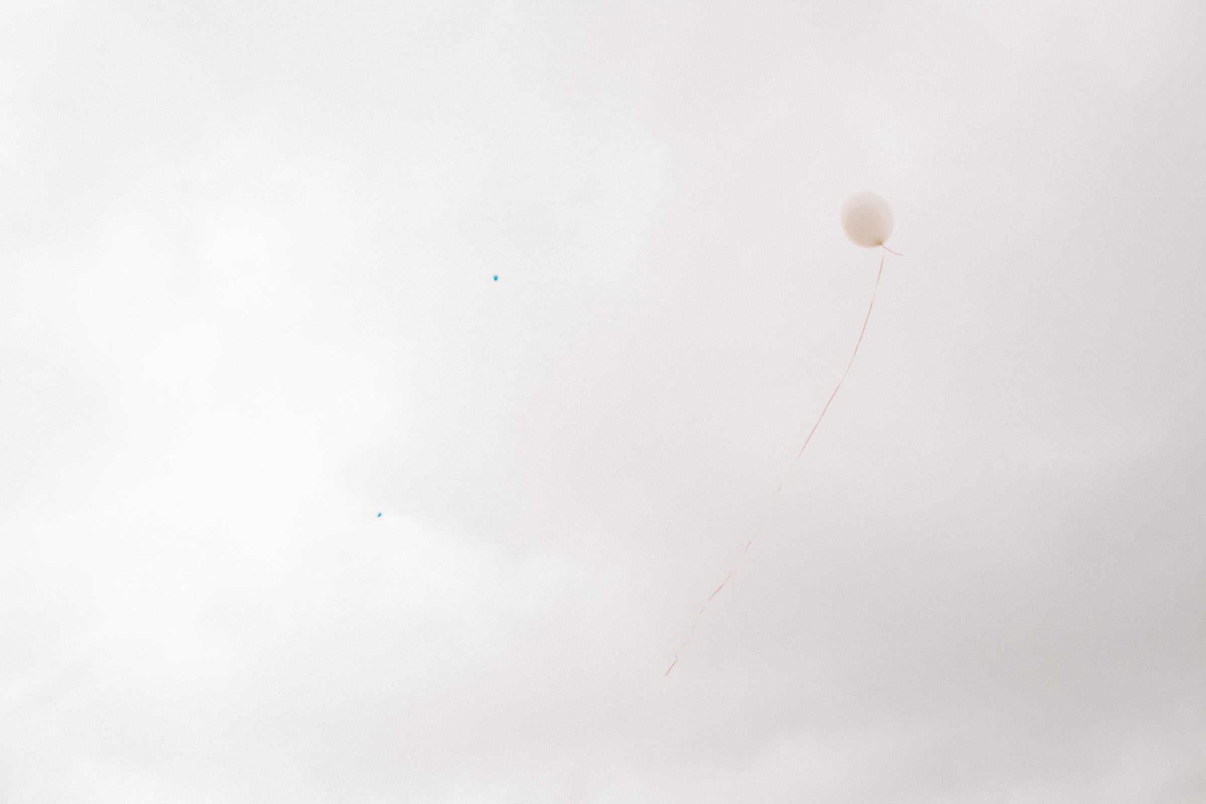 Выпускной. Семейный и свадебный фотограф в Майкопе Михаил Мартиросян