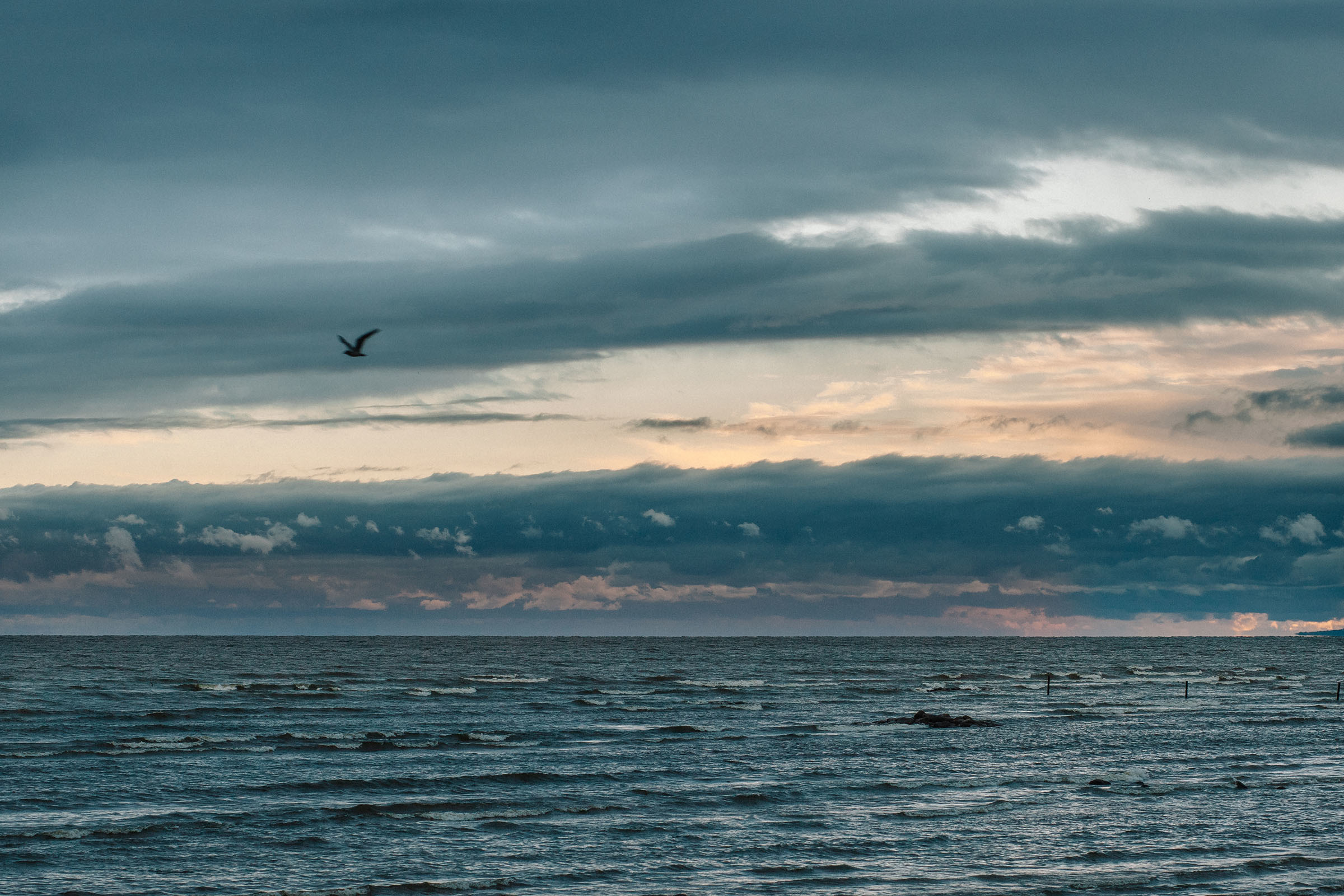 Выпускной. Семейный и свадебный фотограф в Майкопе Михаил Мартиросян