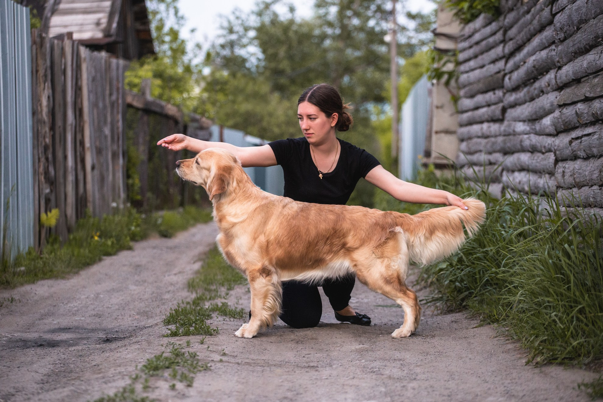 Ланди. Питомник Грааль Гардарика