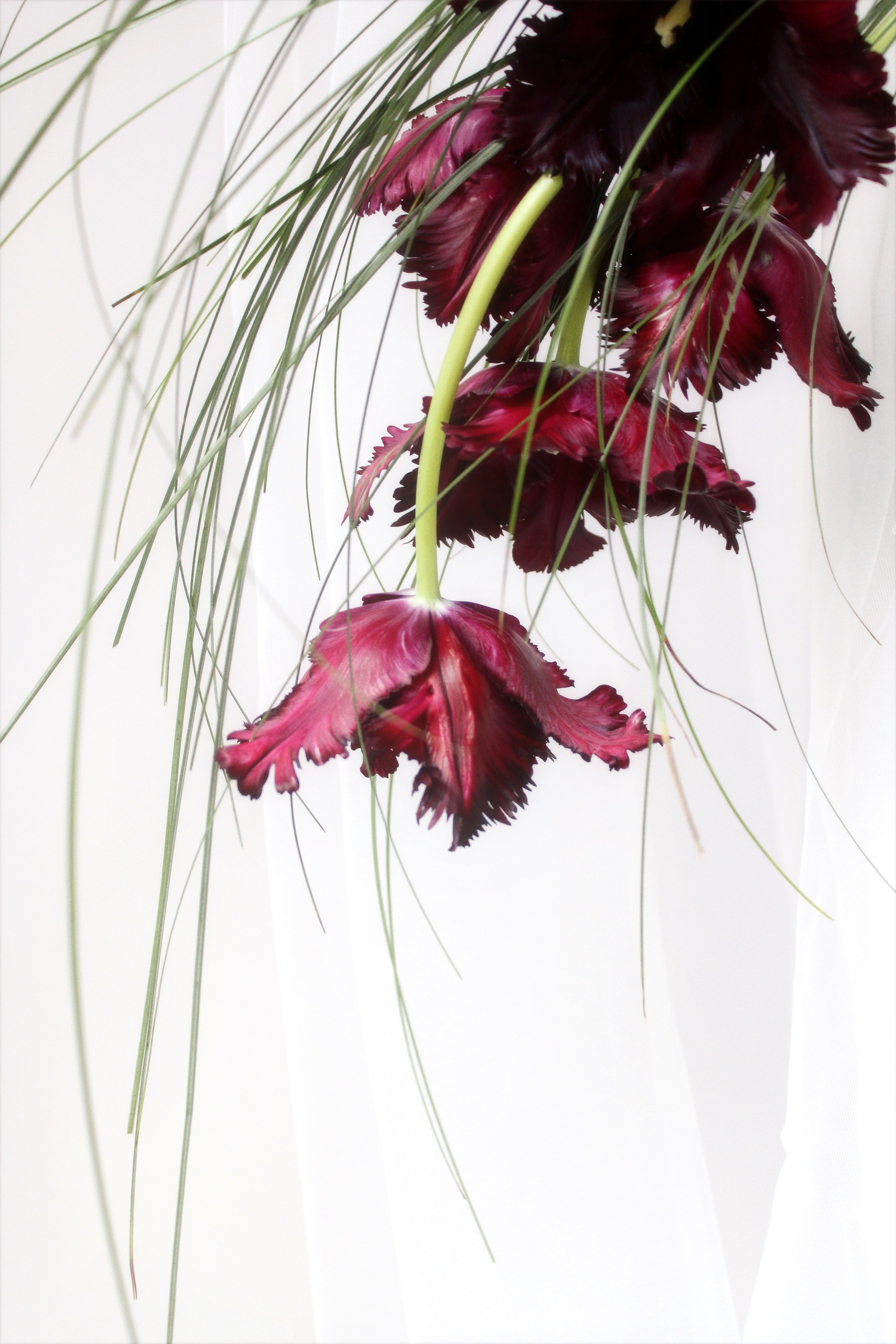 Wedding. Виктория Калугина — фотограф и видеомейкер в Москве