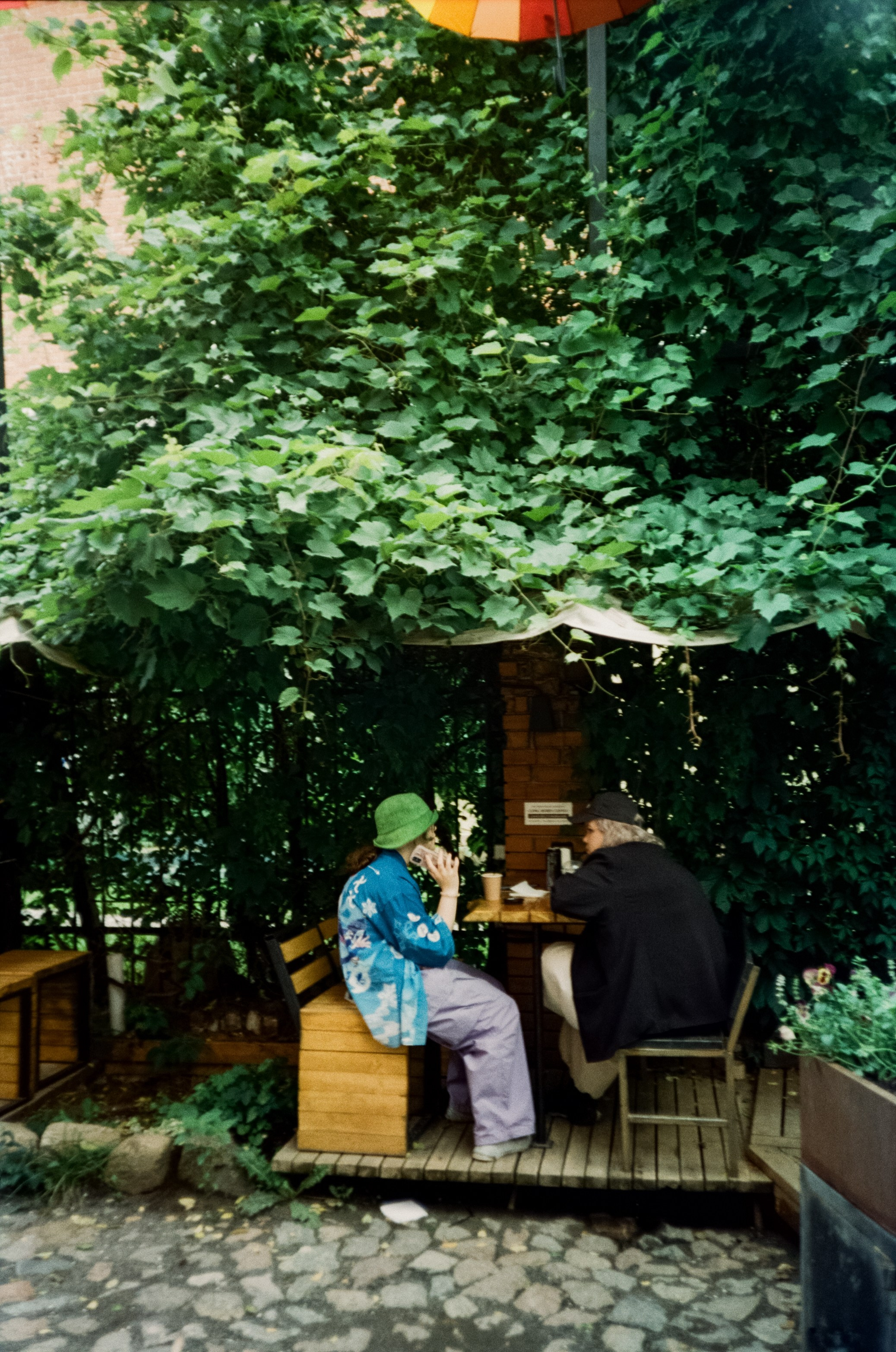 Курортный проспект и коты Зеленоградска, маяк и Safe Coffee. Фотограф-документалист Мария Осокина