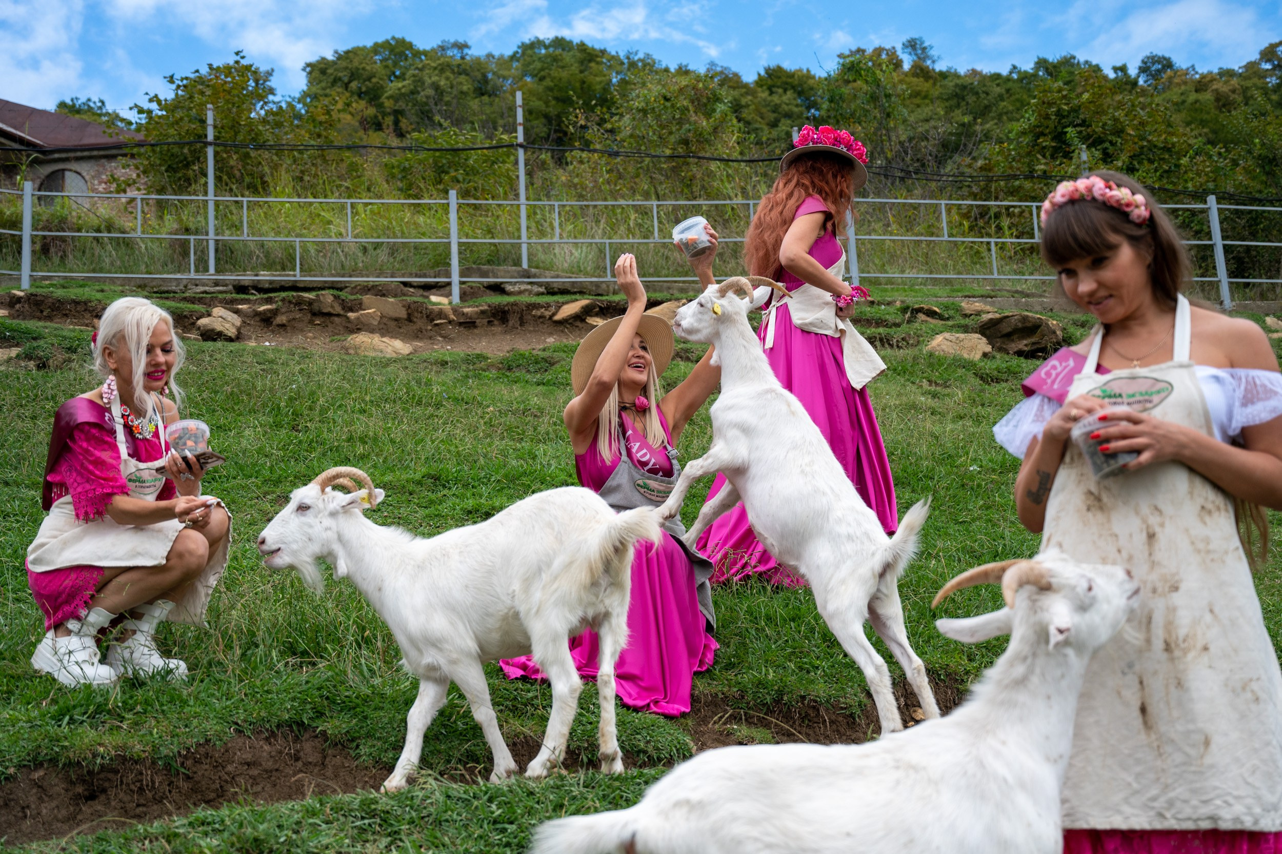 Ферма «ЭКЗАРХО» 03.10.2024 г. Фотографирую счастливых людей в Сочи