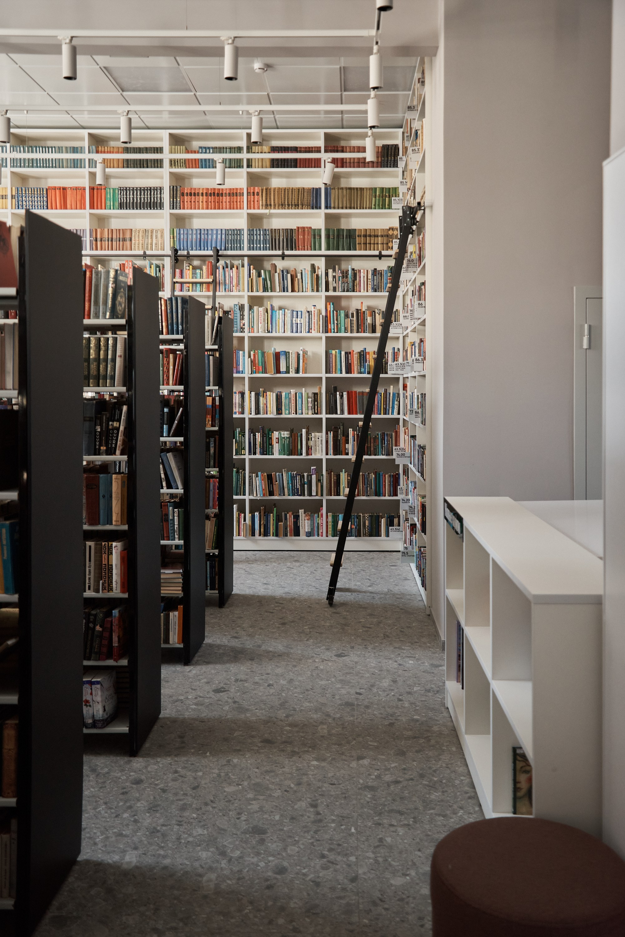 Библиотека Крашенинникова. Абросимов Лев интерьерный и архитектурный фотограф