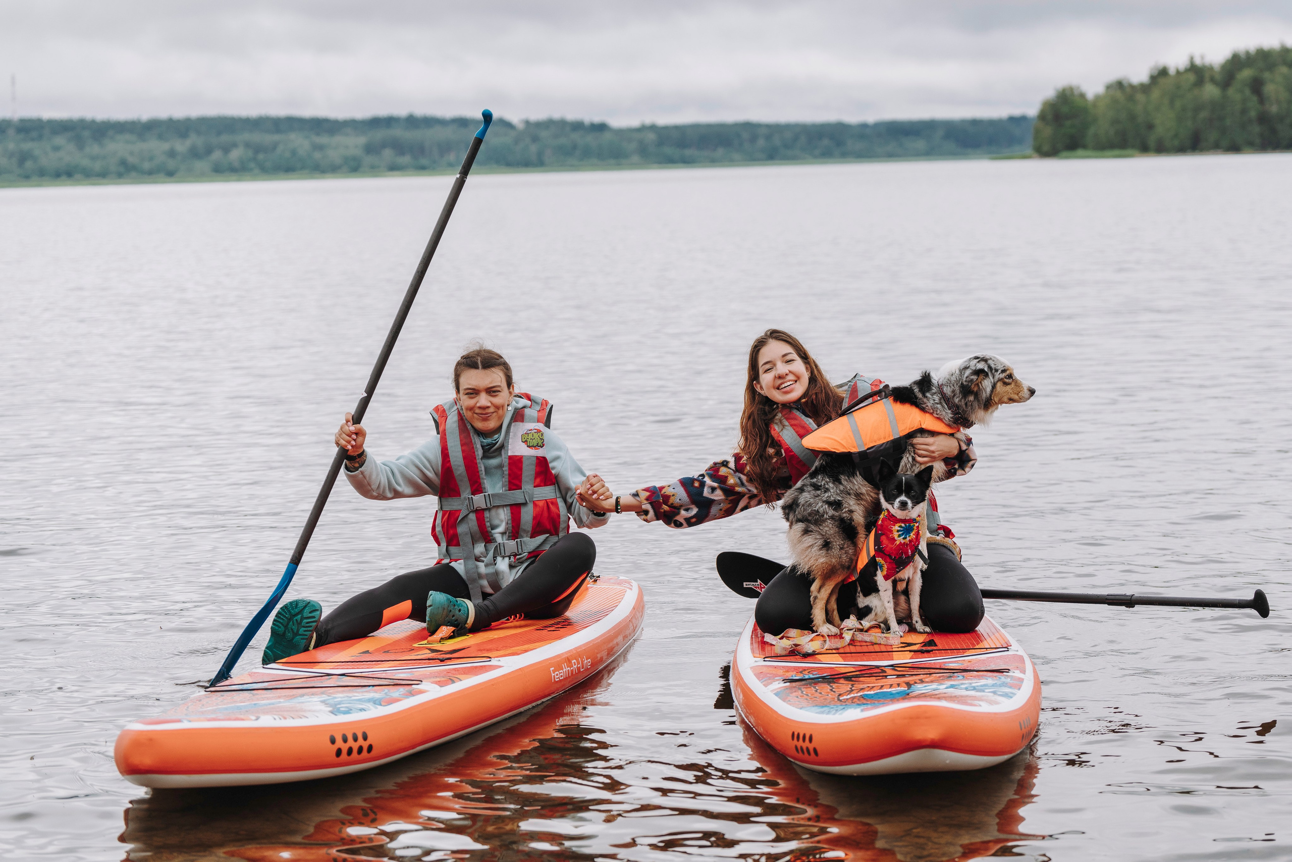 Катание на сапах с собаками. Фотограф анималист в Спб недорого Олеся Майорова