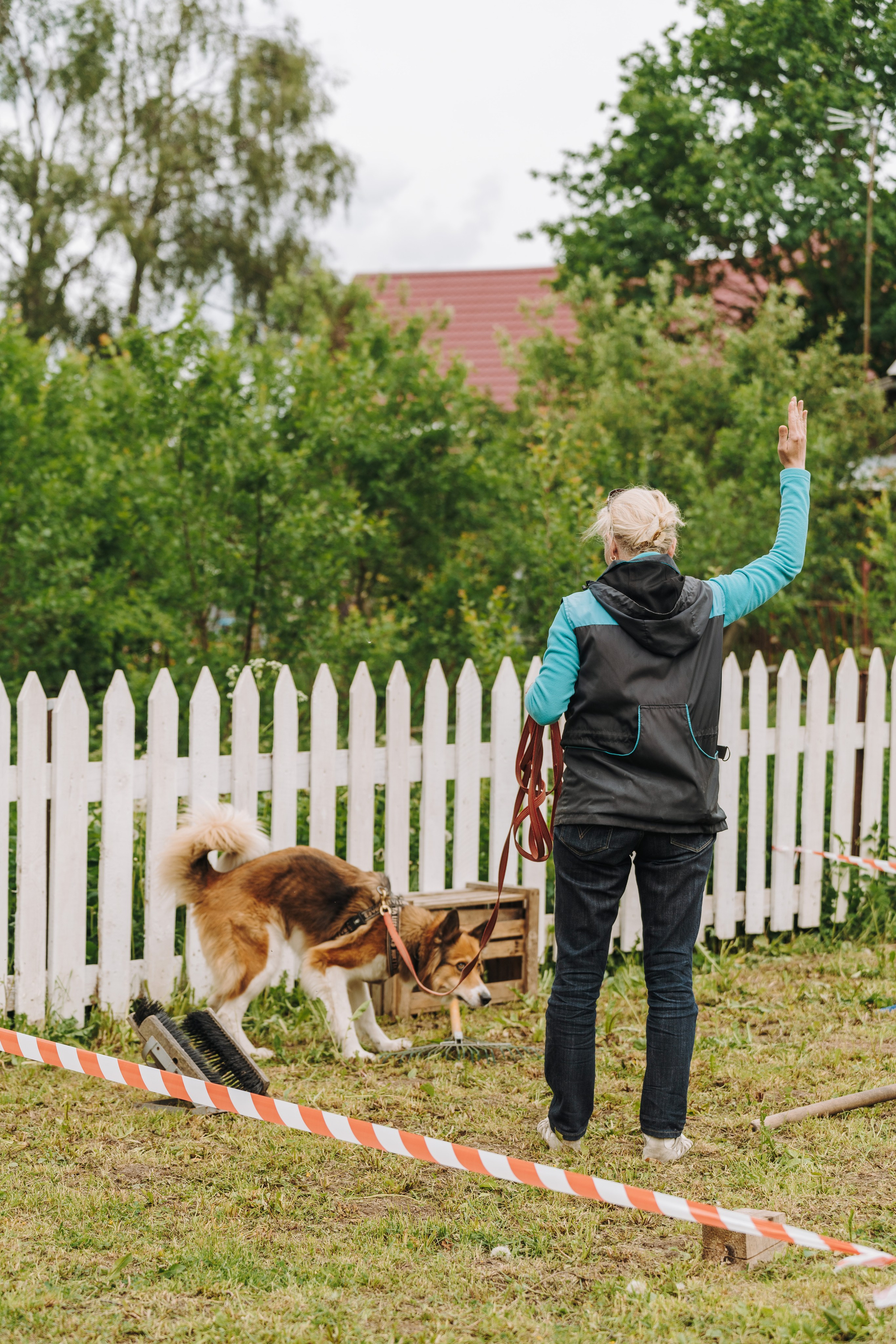 Соревнования по ноузворку. Фотограф анималист в Спб недорого Олеся Майорова