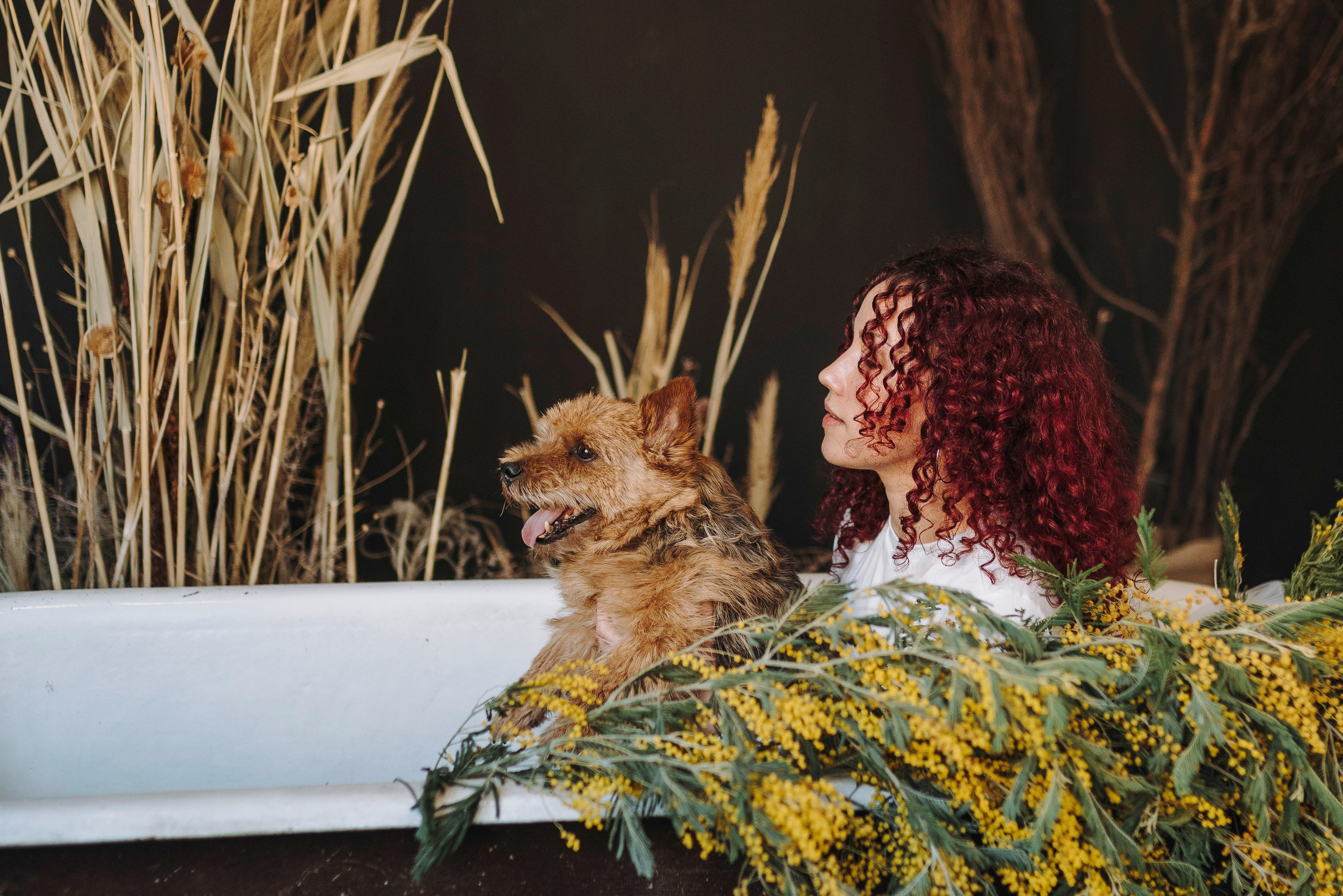 Маша и Рамси. Фотограф анималист в Спб недорого Олеся Майорова