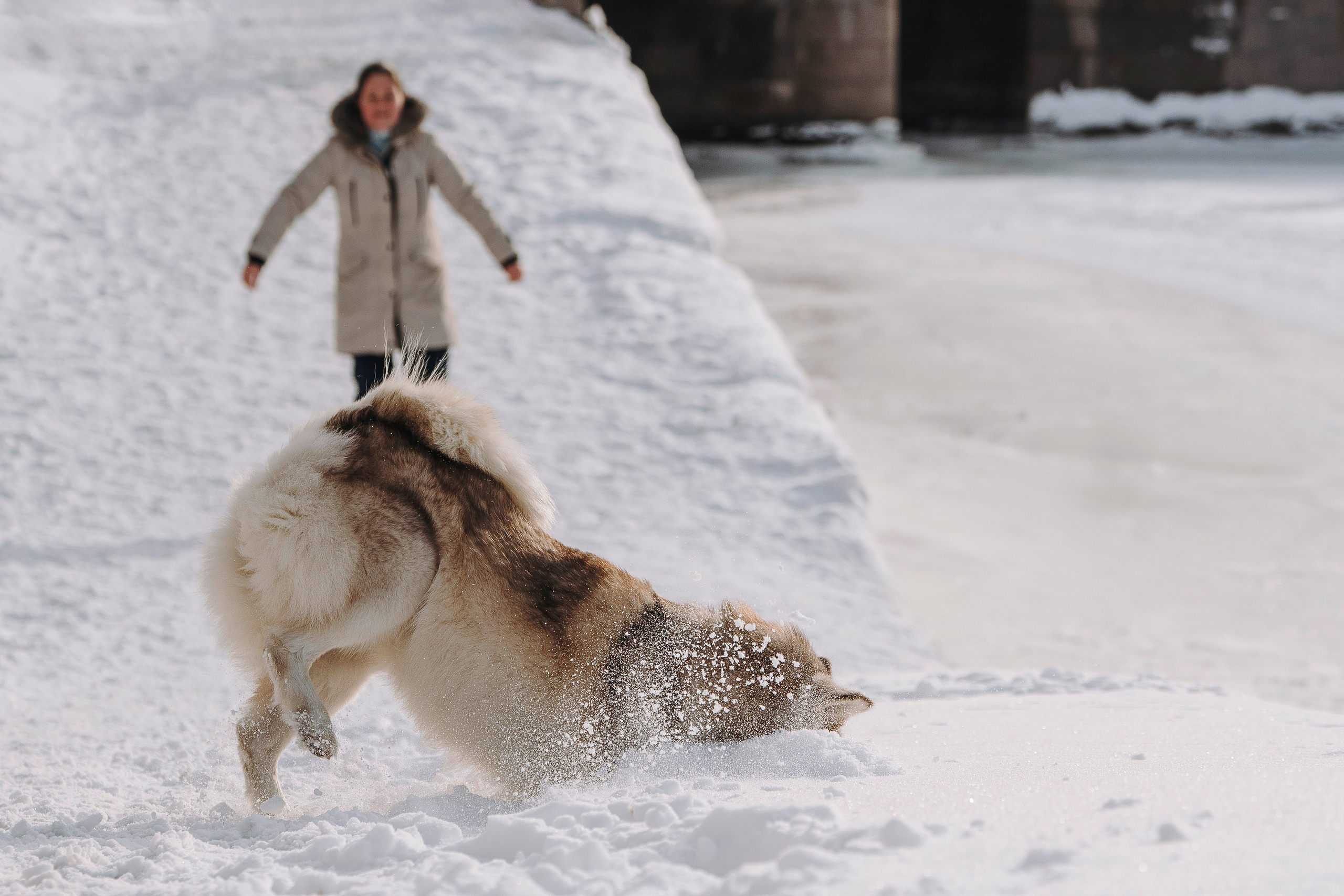 Мария и Амелия. Фотограф анималист в Спб недорого Олеся Майорова