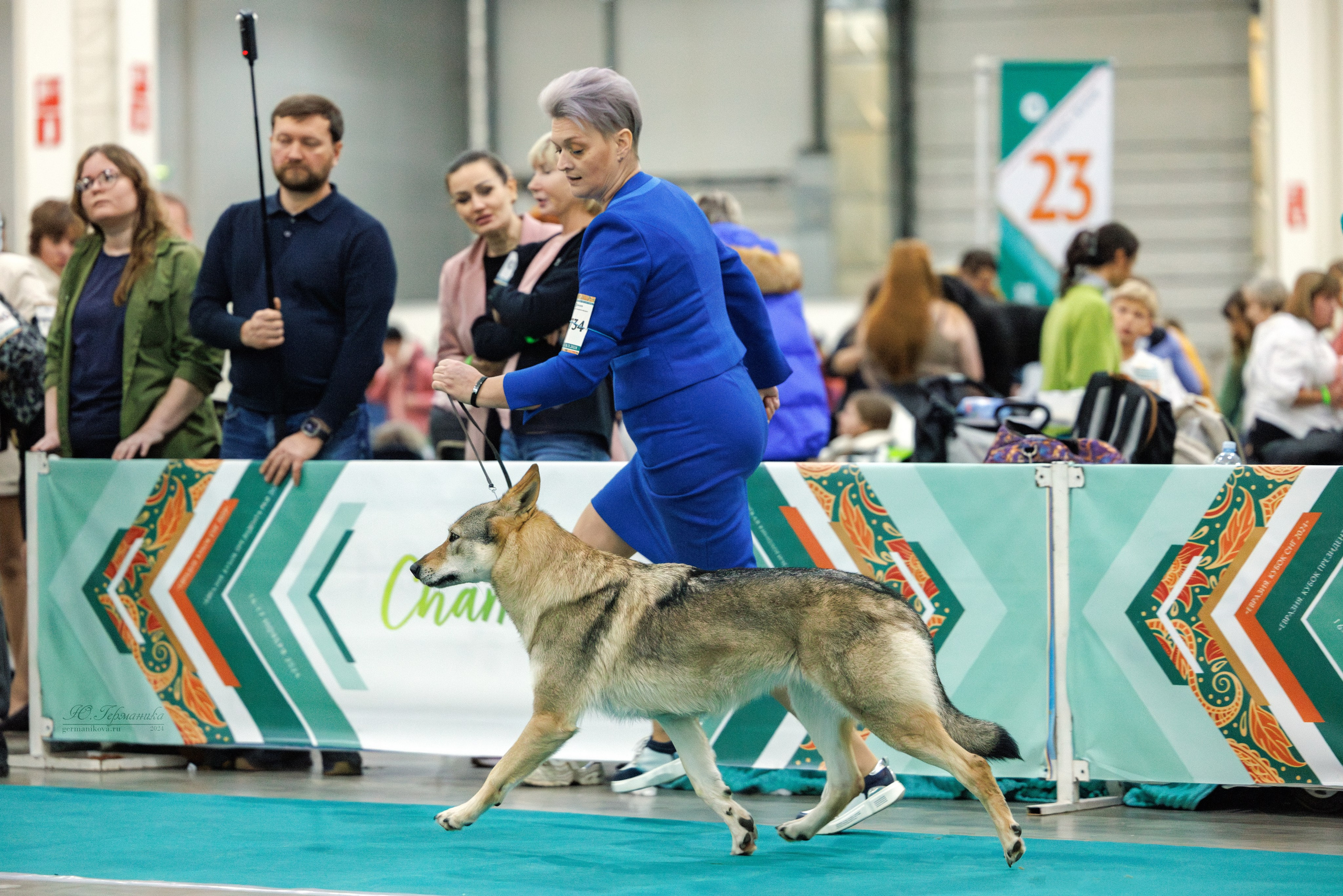 Евразия 16-17.11.2024. Фотограф-анималист Юлия Германика