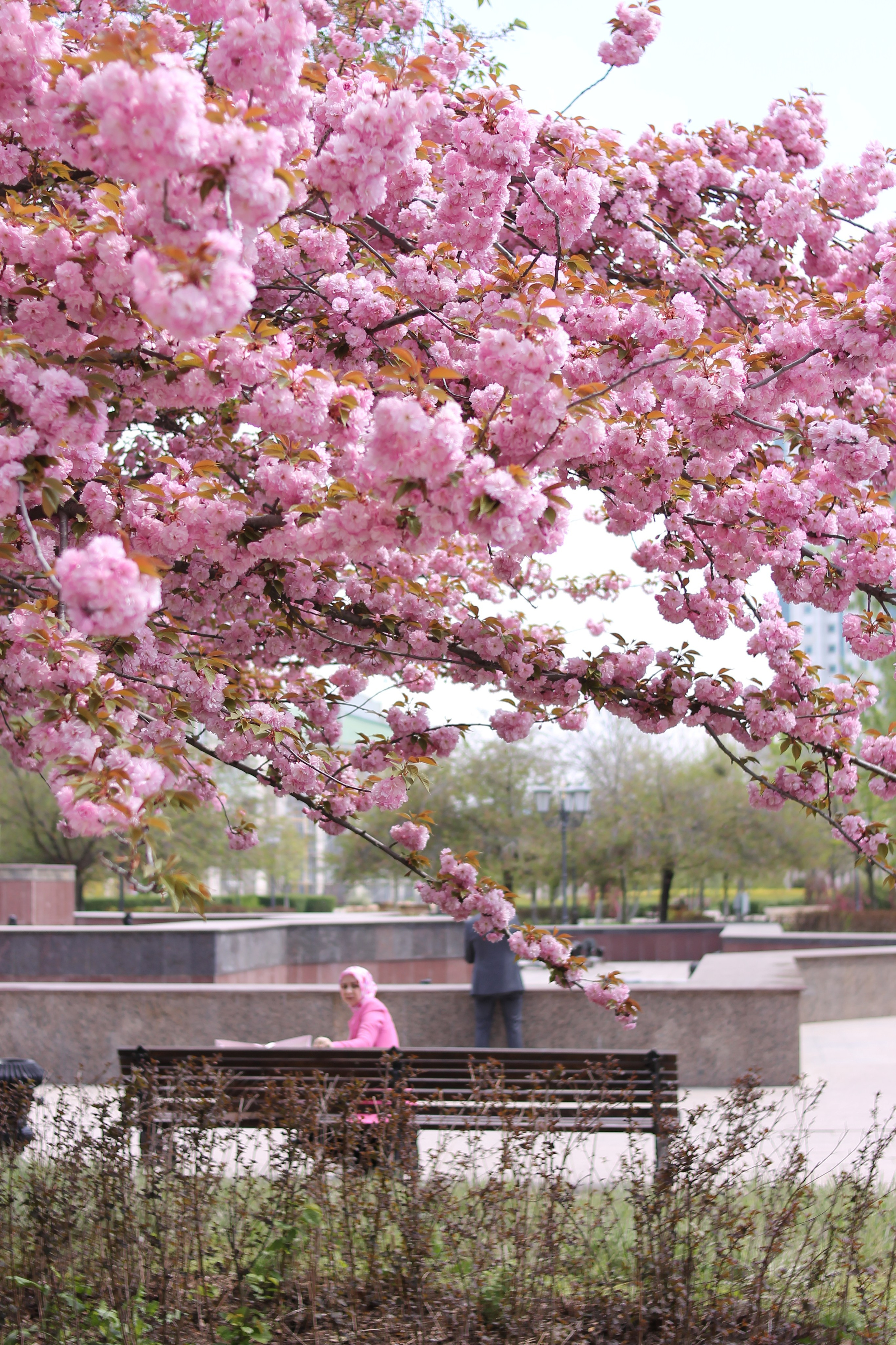 Кавказ. Детский и семейный фотограф в Екатеринбурге Екатерина Гильманова