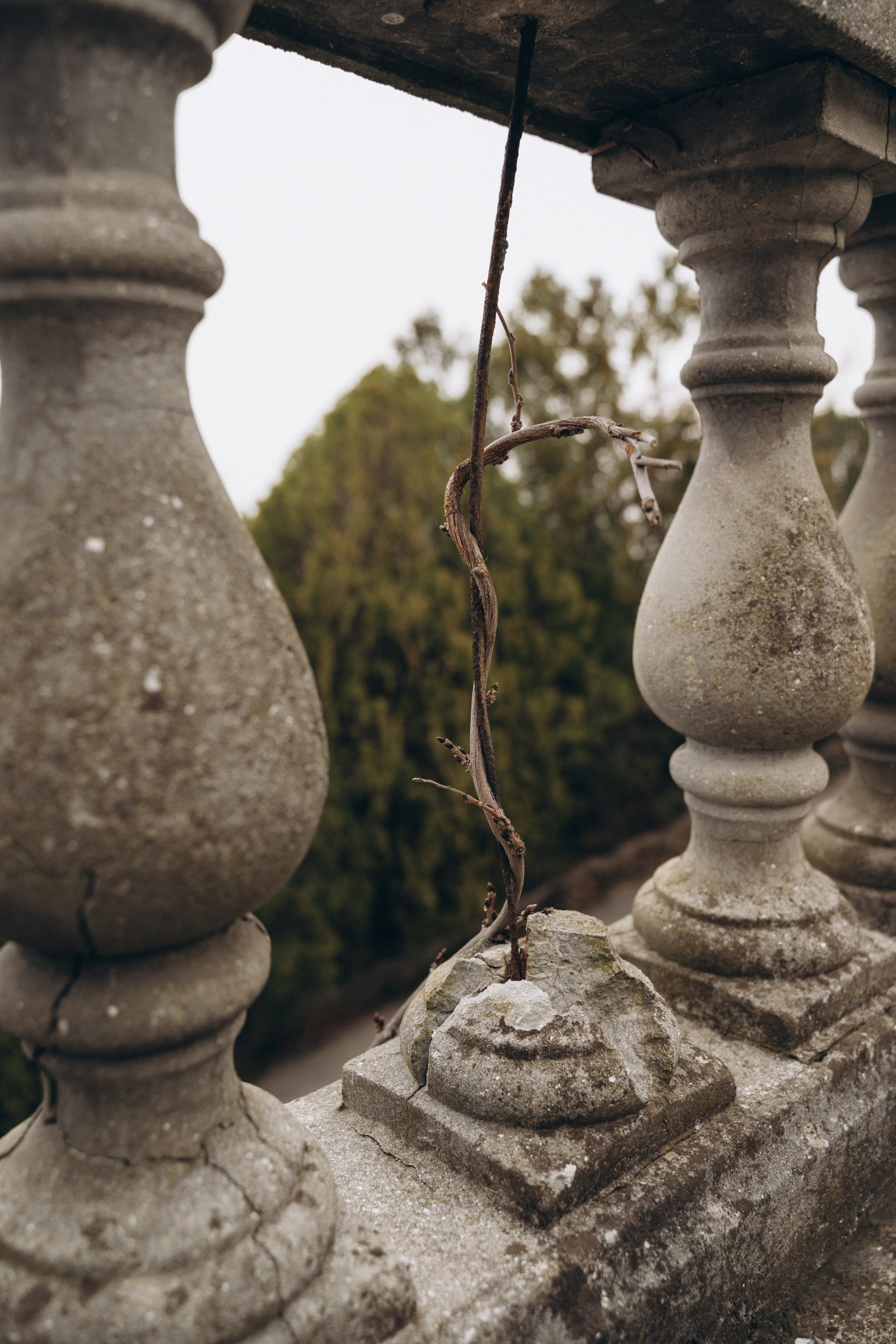 Ольга. Мария Кобзева, фотограф в Ялте, Крым