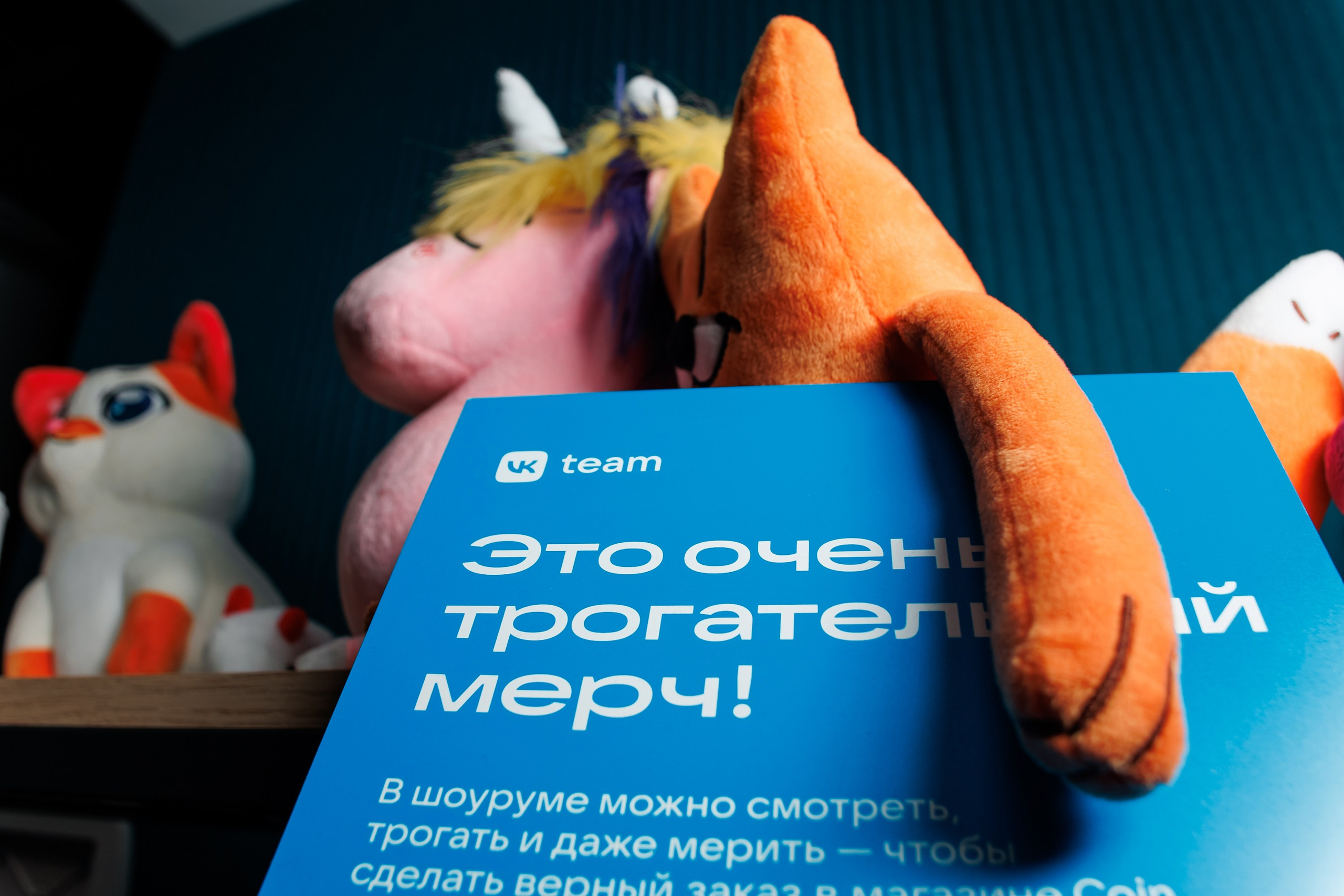 IT Выходные ВК. Репортажный фотограф. Москва. Алина Ланская