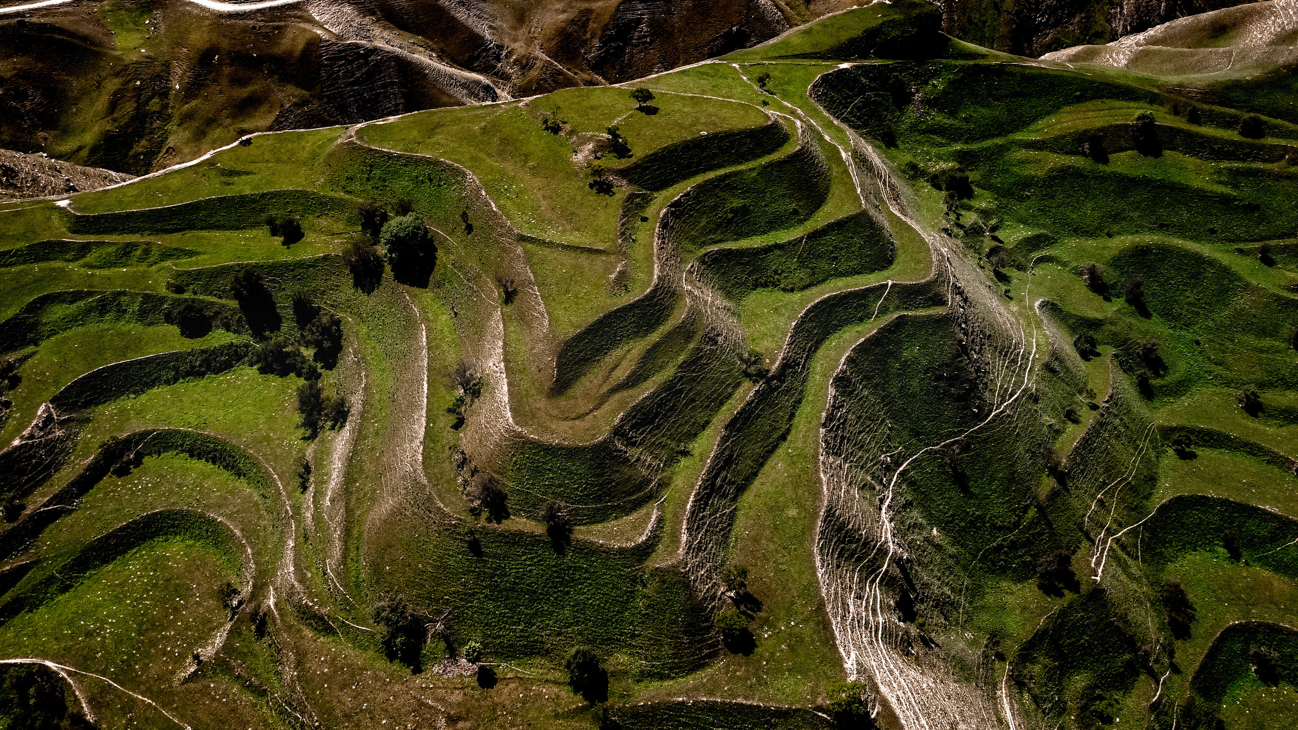 Кавказ: Ростов-на-Дону, Пятигорск, Владикавказ, Махачкала. Фотограф в Хабаровске. Фотография за 24 часа