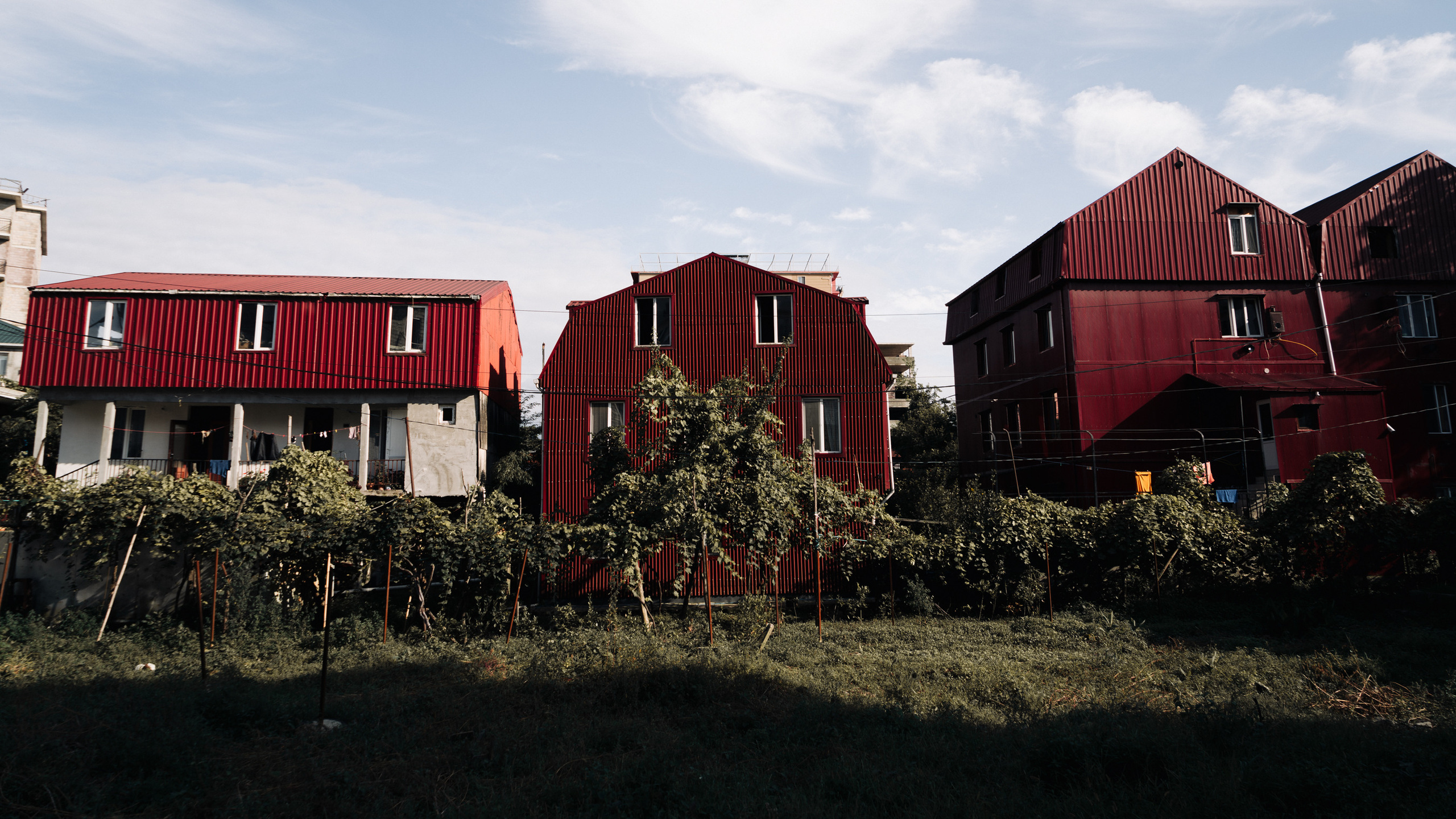 Ближний Восток: Ереван, Гюмри, Батуми, Тбилиси, Стамбул. Фотограф в Хабаровске. Фотография за 24 часа