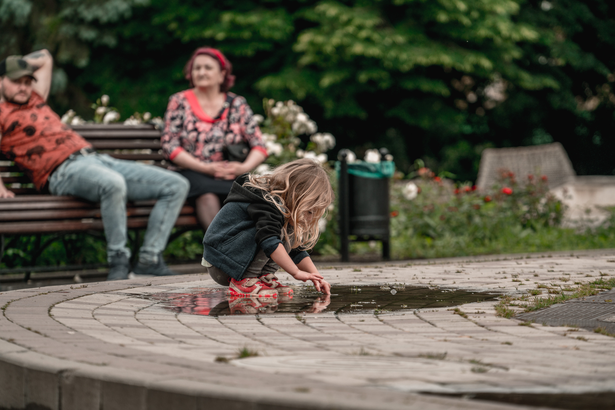Кавказ: Ростов-на-Дону, Пятигорск, Владикавказ, Махачкала. Фотограф в Хабаровске. Фотография за 24 часа