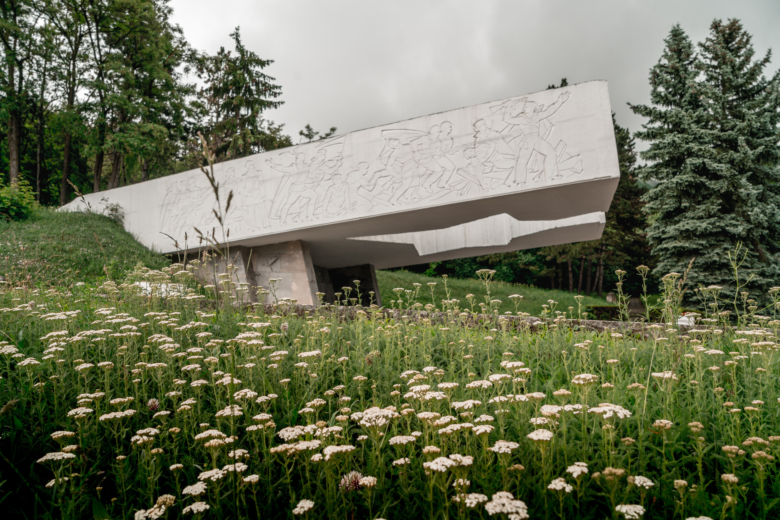 Кавказ: Ростов-на-Дону, Пятигорск, Владикавказ, Махачкала. Фотограф в Хабаровске. Фотография за 24 часа