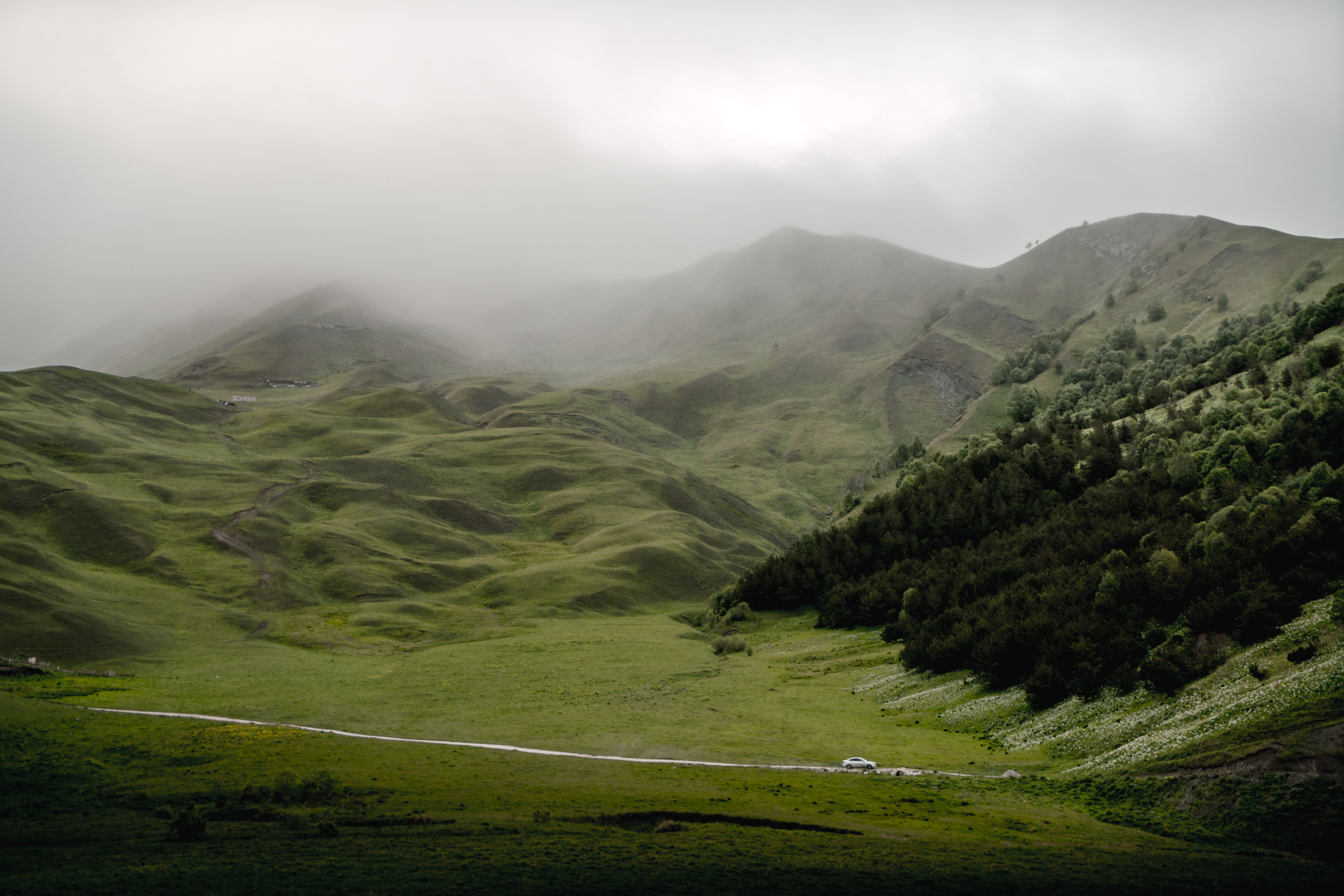 Кавказ: Ростов-на-Дону, Пятигорск, Владикавказ, Махачкала. Фотограф в Хабаровске. Фотография за 24 часа