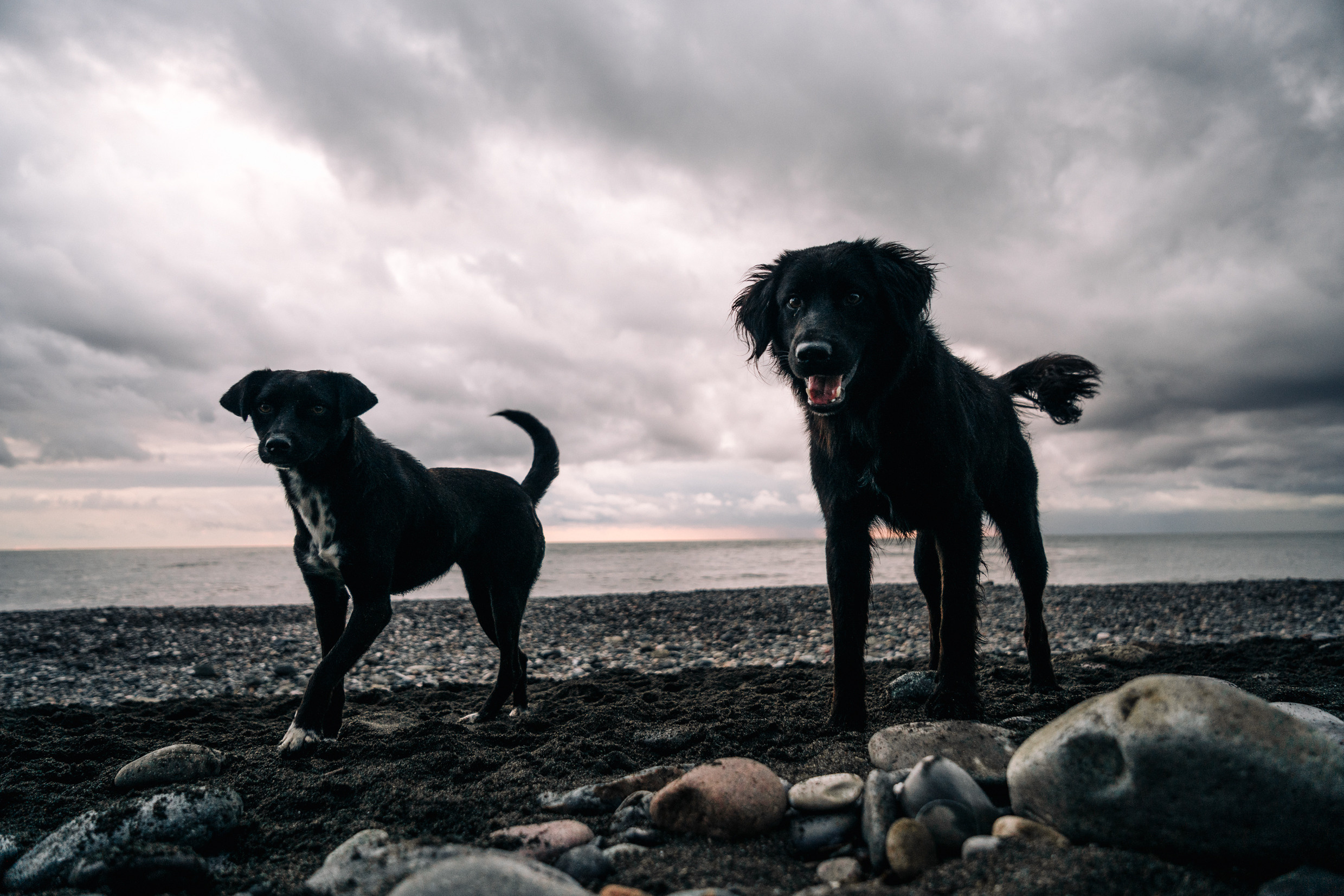Ближний Восток: Ереван, Гюмри, Батуми, Тбилиси, Стамбул. Фотограф в Хабаровске. Фотография за 24 часа