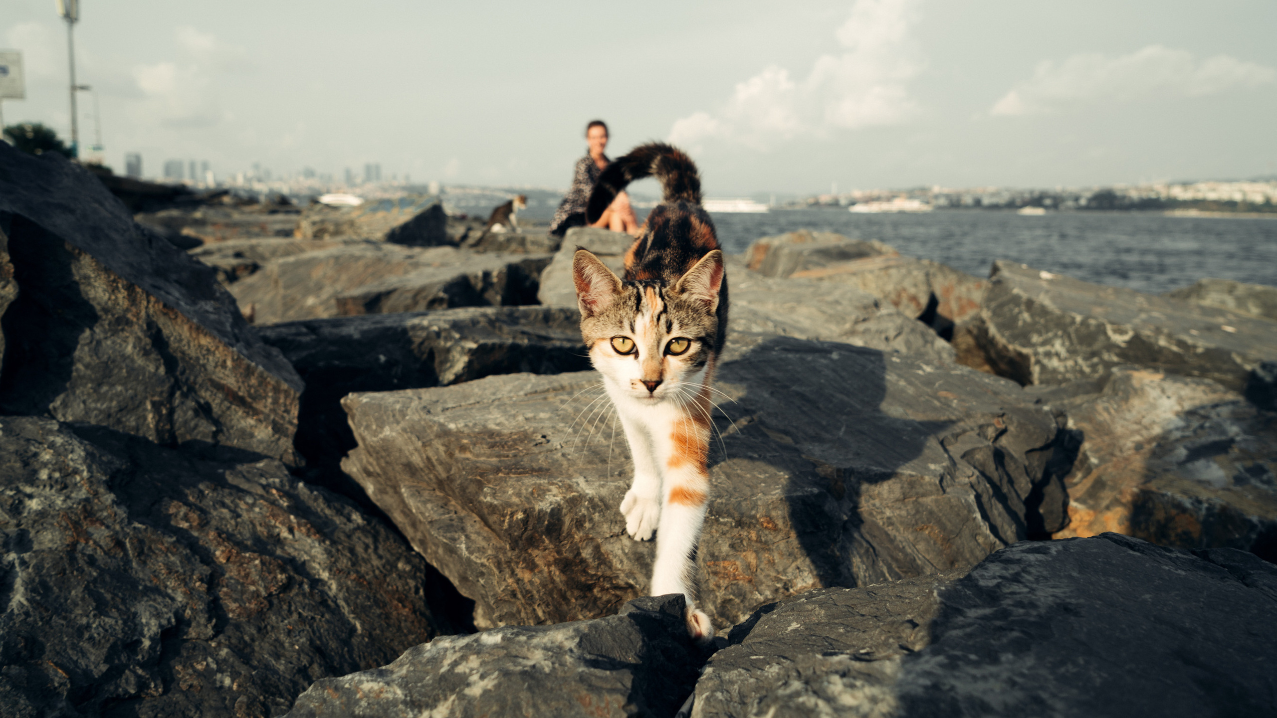 Ближний Восток: Ереван, Гюмри, Батуми, Тбилиси, Стамбул. Фотограф в Хабаровске. Фотография за 24 часа