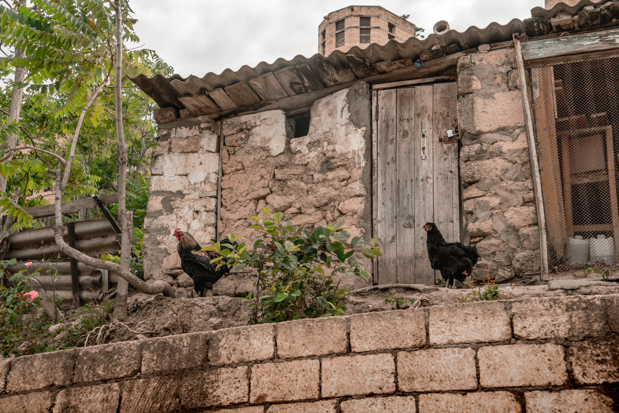 Кавказ: Ростов-на-Дону, Пятигорск, Владикавказ, Махачкала. Фотограф в Хабаровске. Фотография за 24 часа