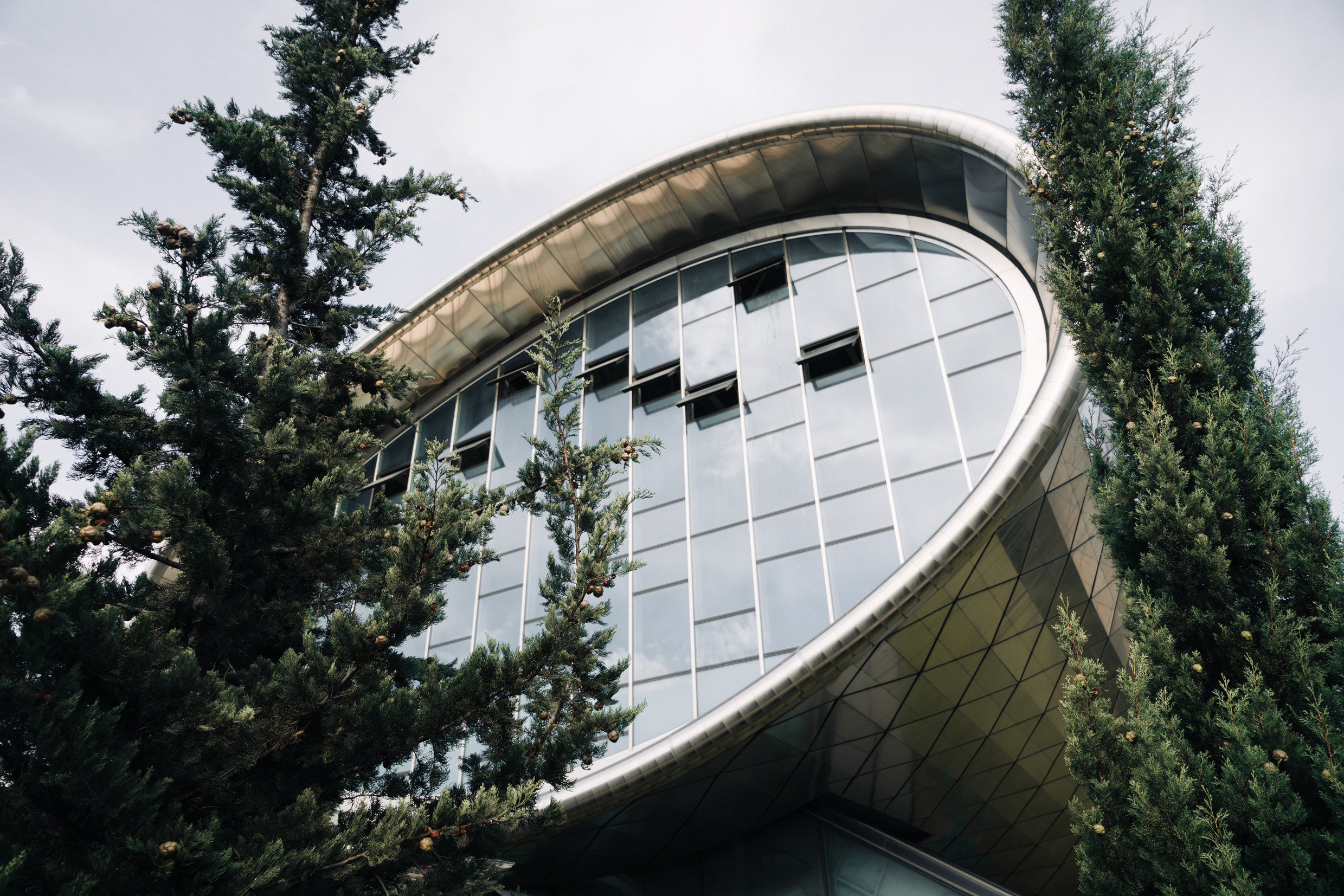 Ближний Восток: Ереван, Гюмри, Батуми, Тбилиси, Стамбул. Фотограф в Хабаровске. Фотография за 24 часа