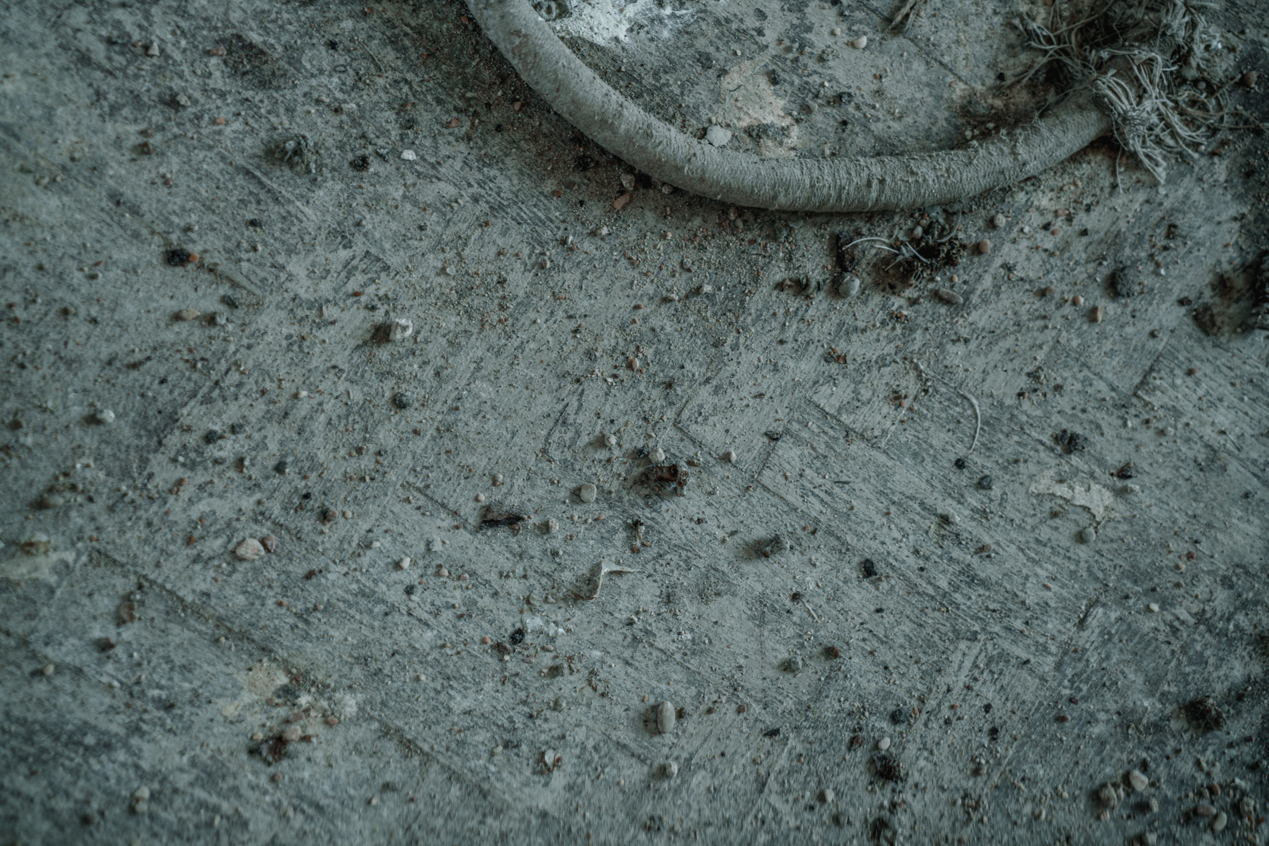 Кавказ: Ростов-на-Дону, Пятигорск, Владикавказ, Махачкала. Фотограф в Хабаровске. Фотография за 24 часа