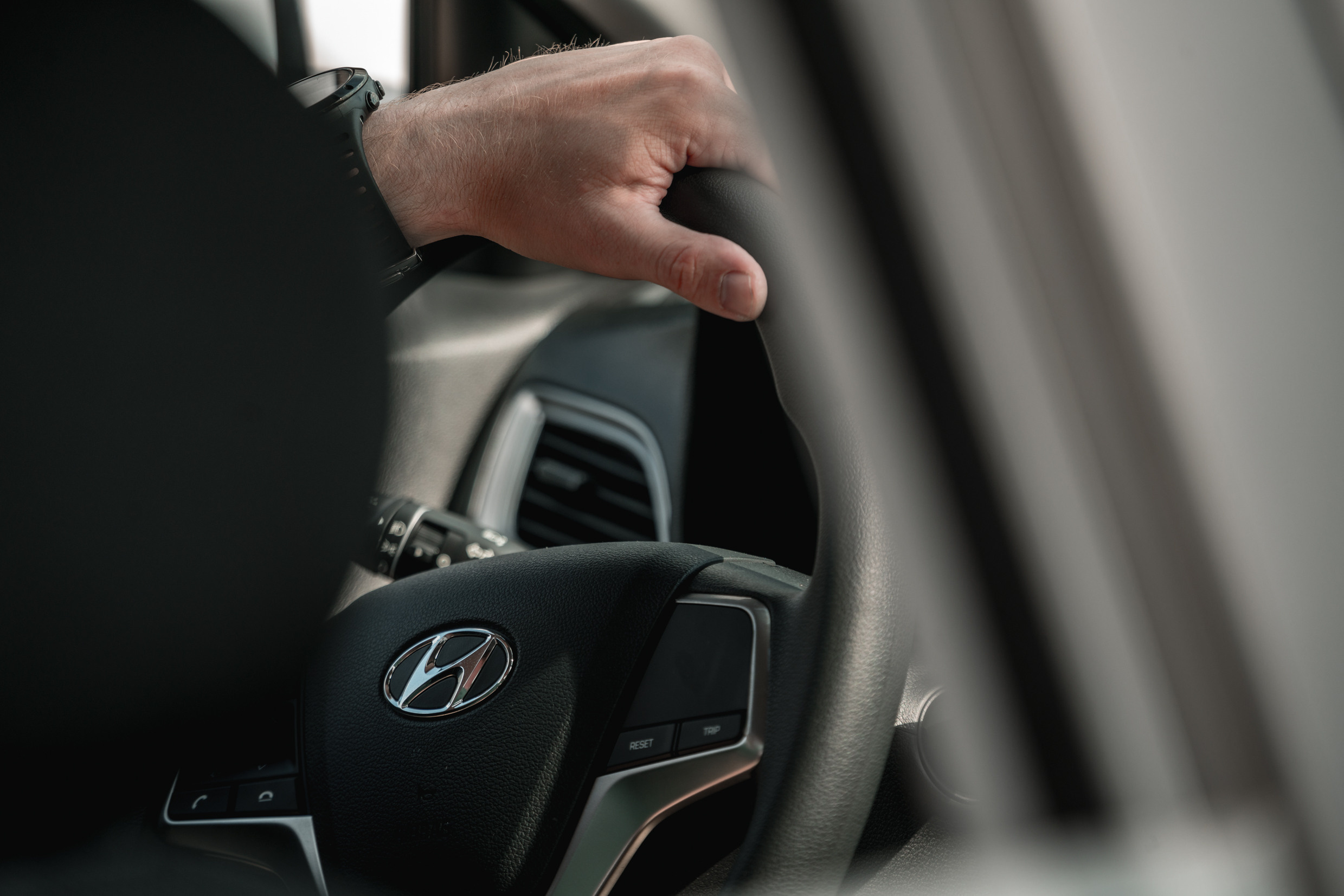 Кавказ: Ростов-на-Дону, Пятигорск, Владикавказ, Махачкала. Фотограф в Хабаровске. Фотография за 24 часа