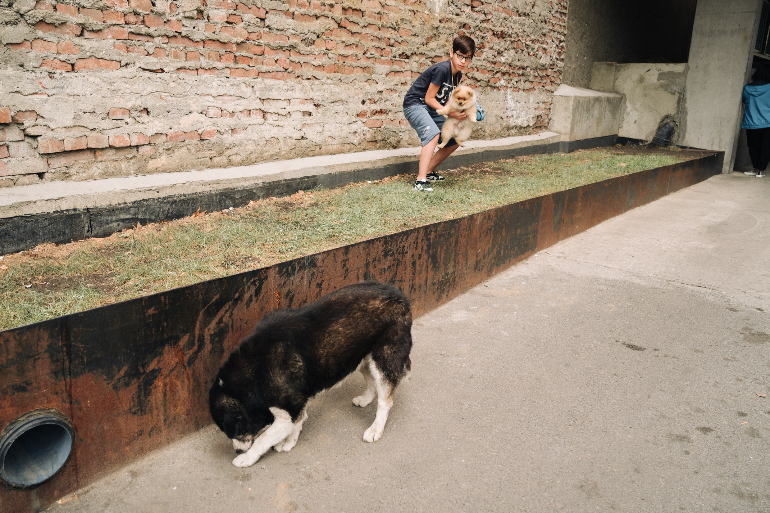 Ближний Восток: Ереван, Гюмри, Батуми, Тбилиси, Стамбул. Фотограф в Хабаровске. Фотография за 24 часа