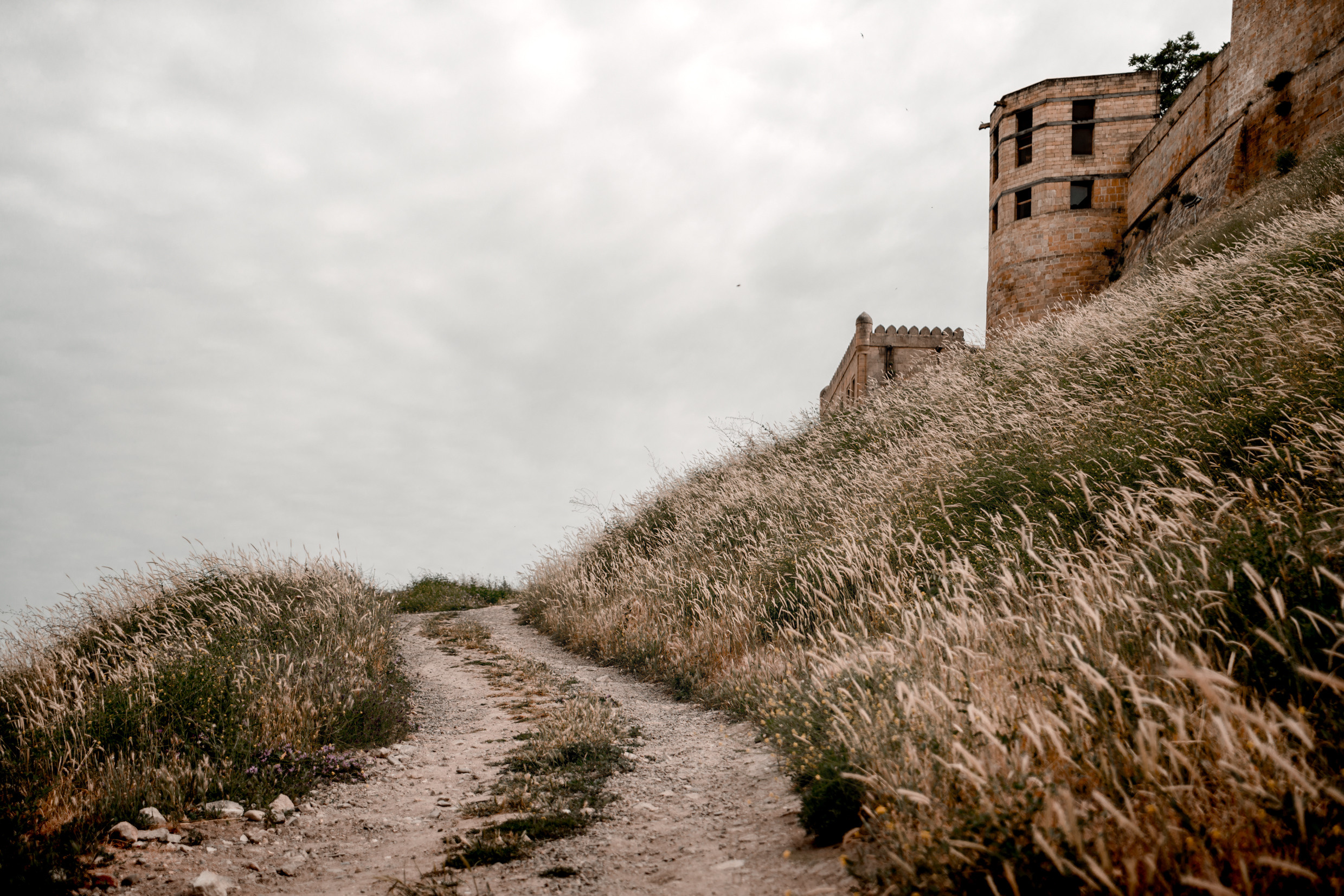 Кавказ: Ростов-на-Дону, Пятигорск, Владикавказ, Махачкала. Фотограф в Хабаровске. Фотография за 24 часа