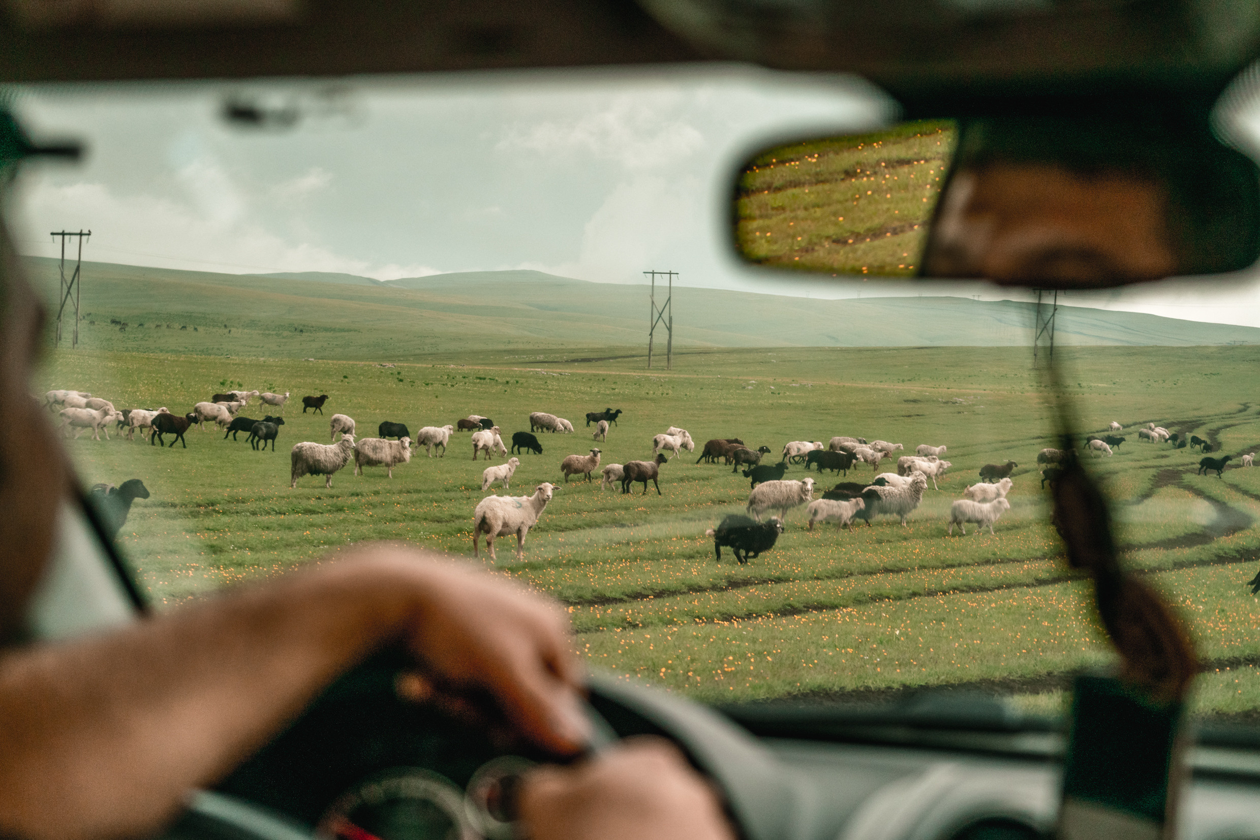 Кавказ: Ростов-на-Дону, Пятигорск, Владикавказ, Махачкала. Фотограф в Хабаровске. Фотография за 24 часа