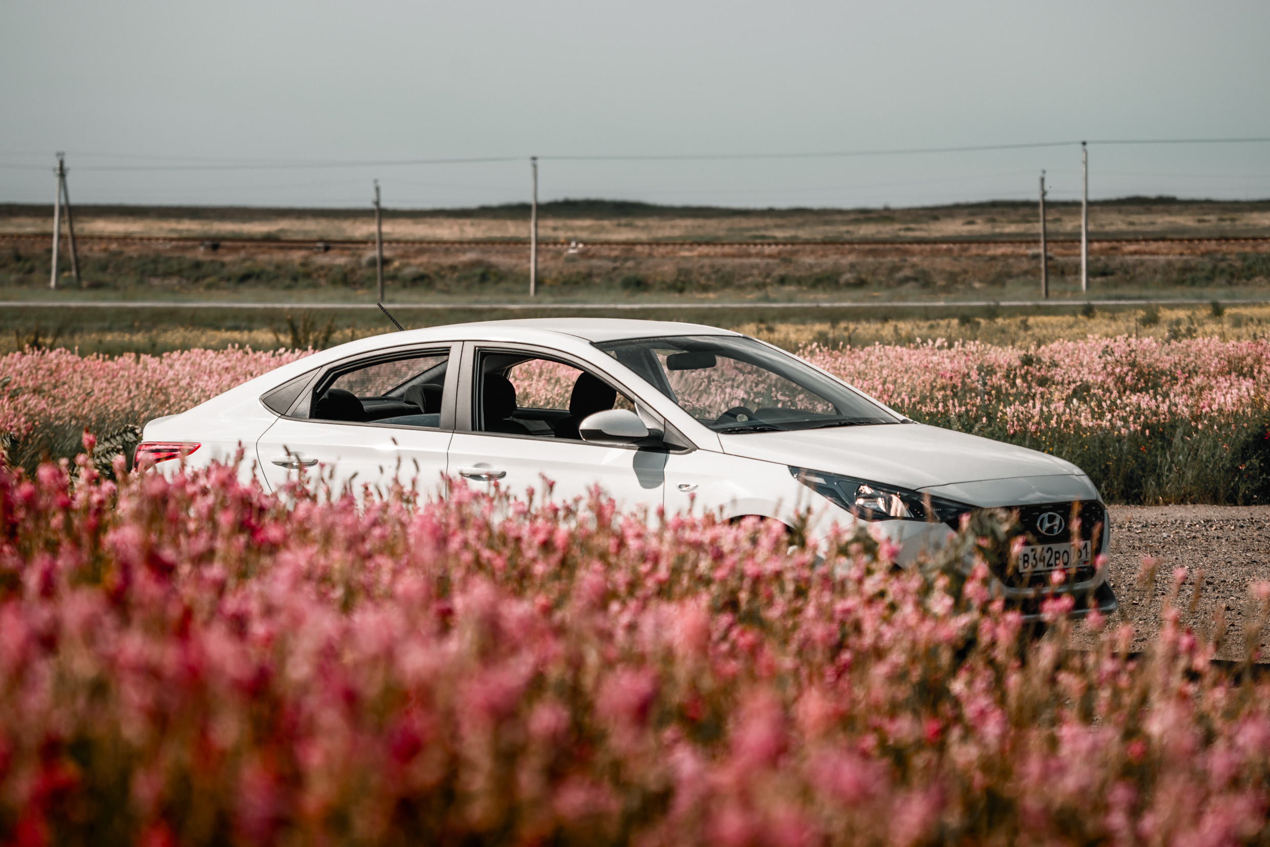 Кавказ: Ростов-на-Дону, Пятигорск, Владикавказ, Махачкала. Фотограф в Хабаровске. Фотография за 24 часа