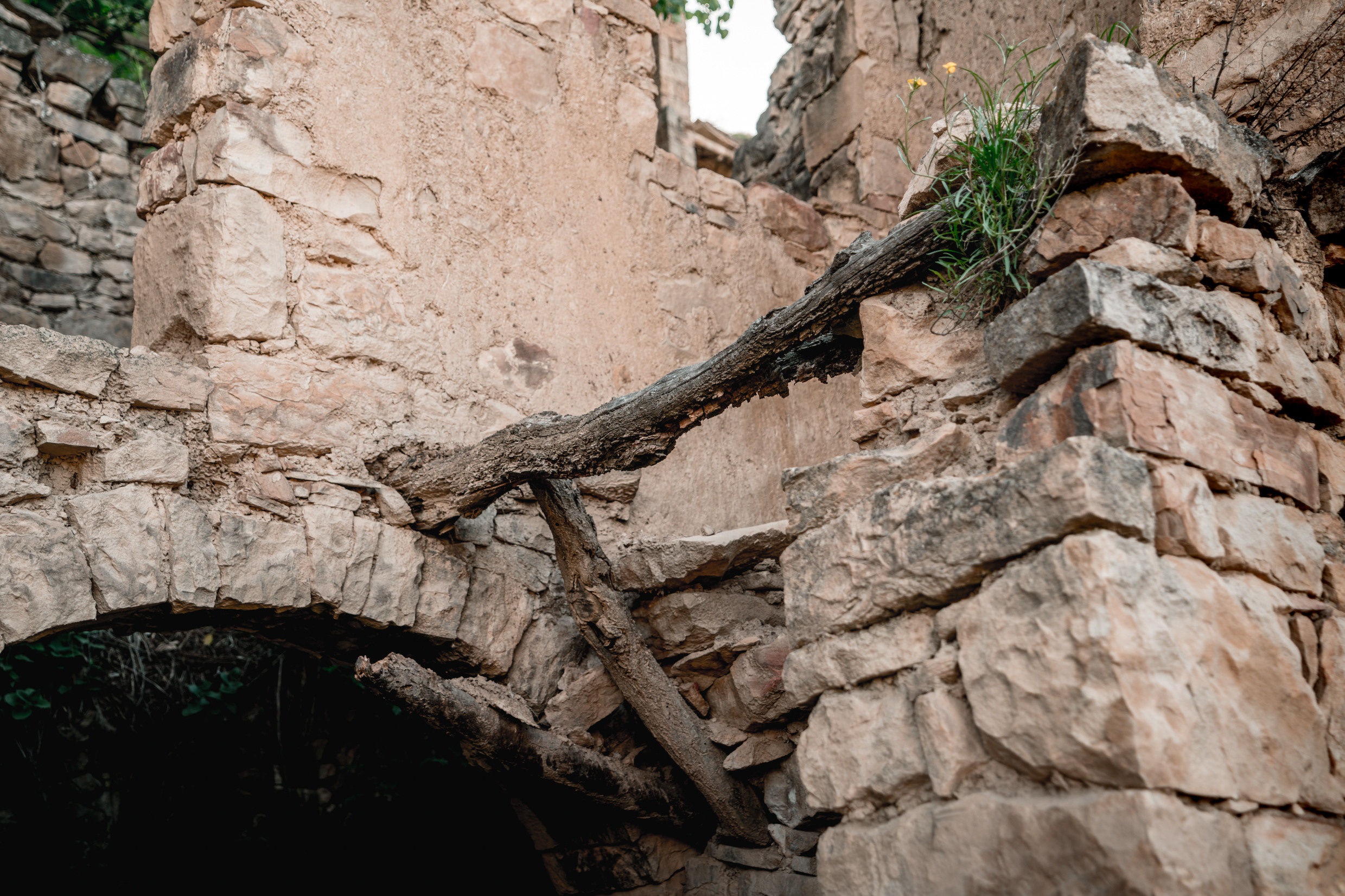 Кавказ: Ростов-на-Дону, Пятигорск, Владикавказ, Махачкала. Фотограф в Хабаровске. Фотография за 24 часа