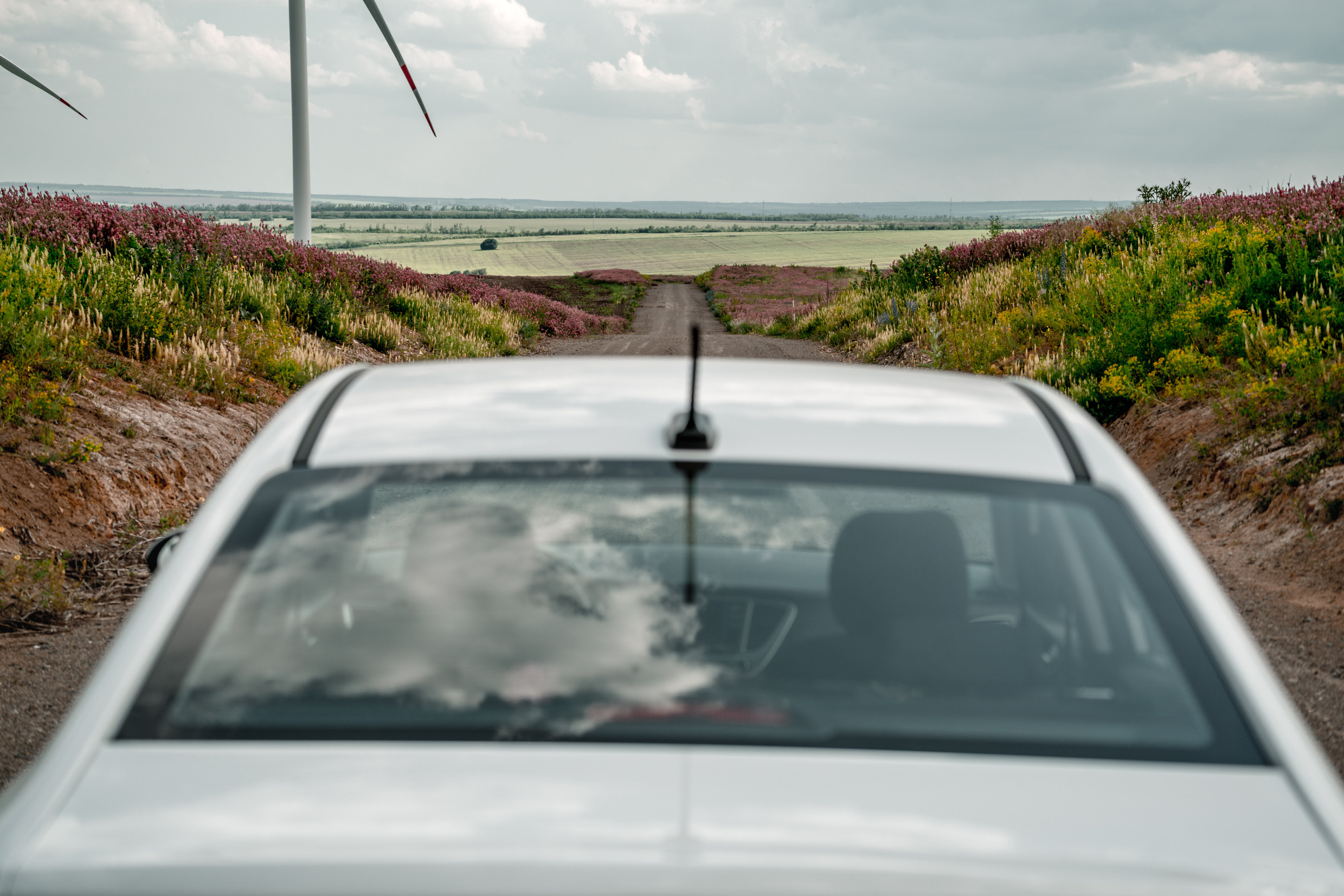 Кавказ: Ростов-на-Дону, Пятигорск, Владикавказ, Махачкала. Фотограф в Хабаровске. Фотография за 24 часа