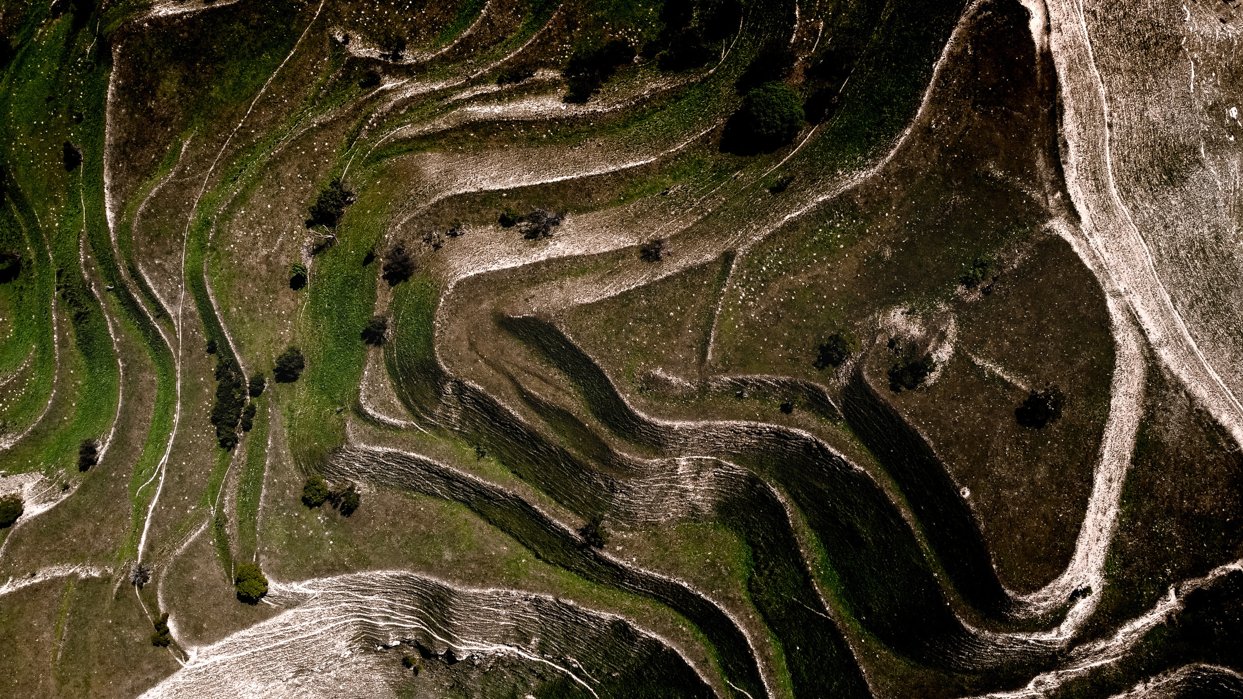 Кавказ: Ростов-на-Дону, Пятигорск, Владикавказ, Махачкала. Фотограф в Хабаровске. Фотография за 24 часа