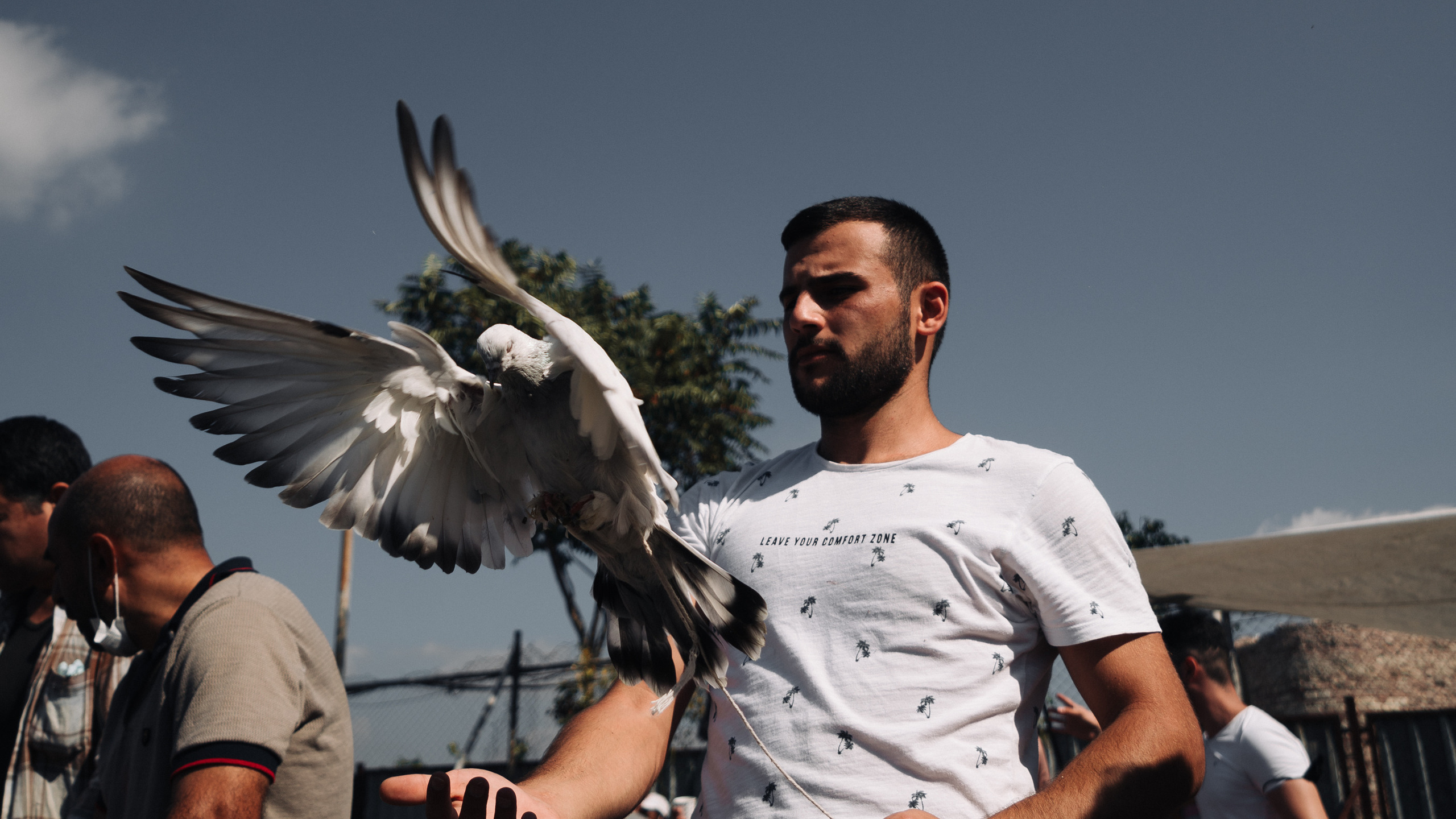 Ближний Восток: Ереван, Гюмри, Батуми, Тбилиси, Стамбул. Фотограф в Хабаровске. Фотография за 24 часа