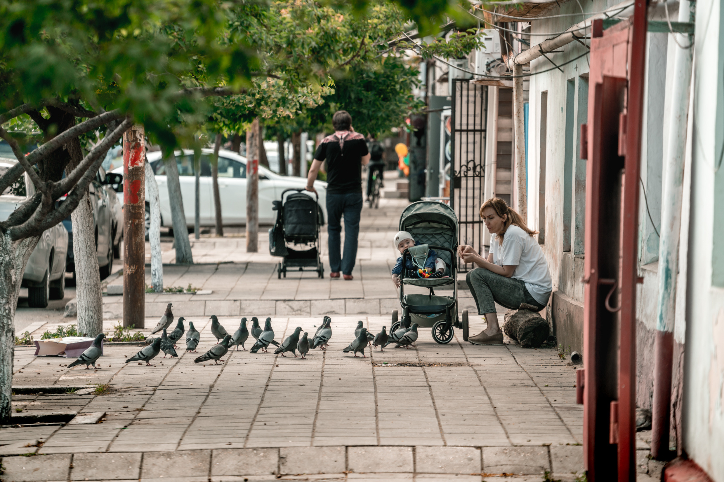 Кавказ: Ростов-на-Дону, Пятигорск, Владикавказ, Махачкала. Фотограф в Хабаровске. Фотография за 24 часа