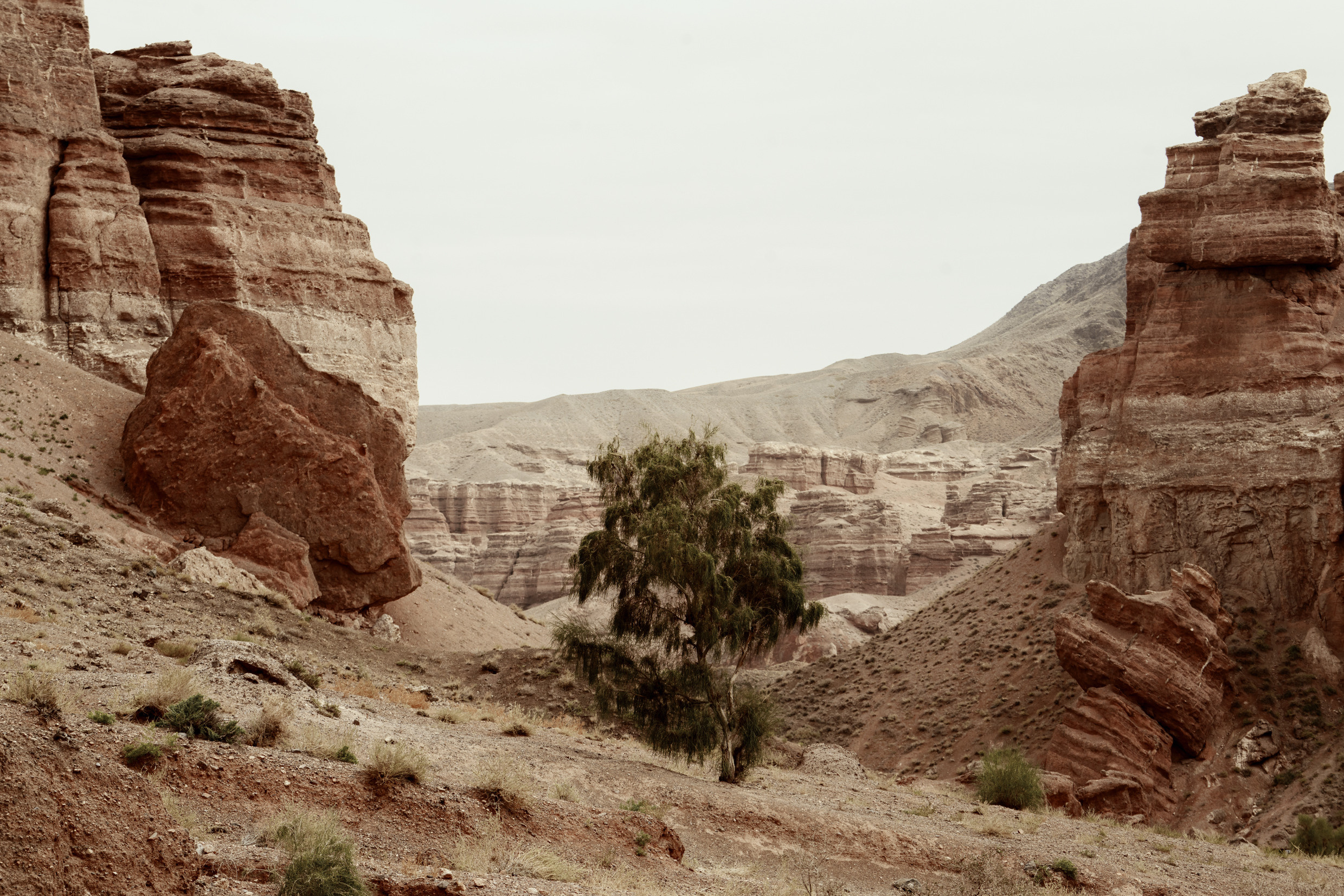 Путешествия. Фотограф в Хабаровске. Фотография за 24 часа