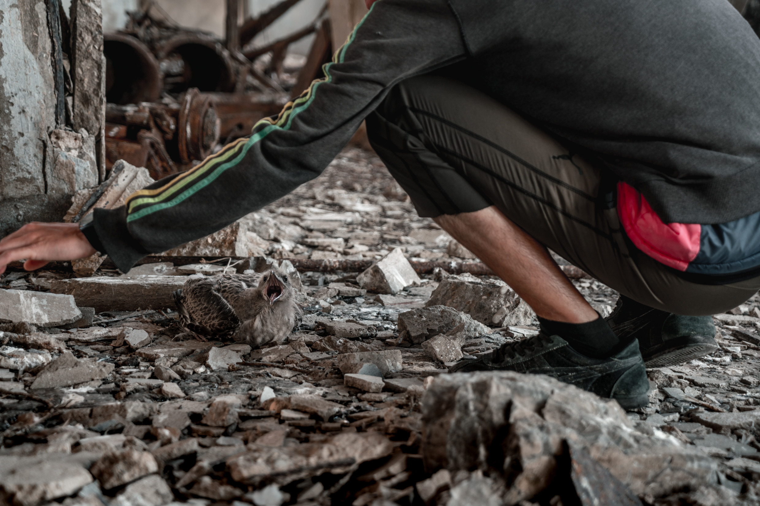 Кавказ: Ростов-на-Дону, Пятигорск, Владикавказ, Махачкала. Фотограф в Хабаровске. Фотография за 24 часа