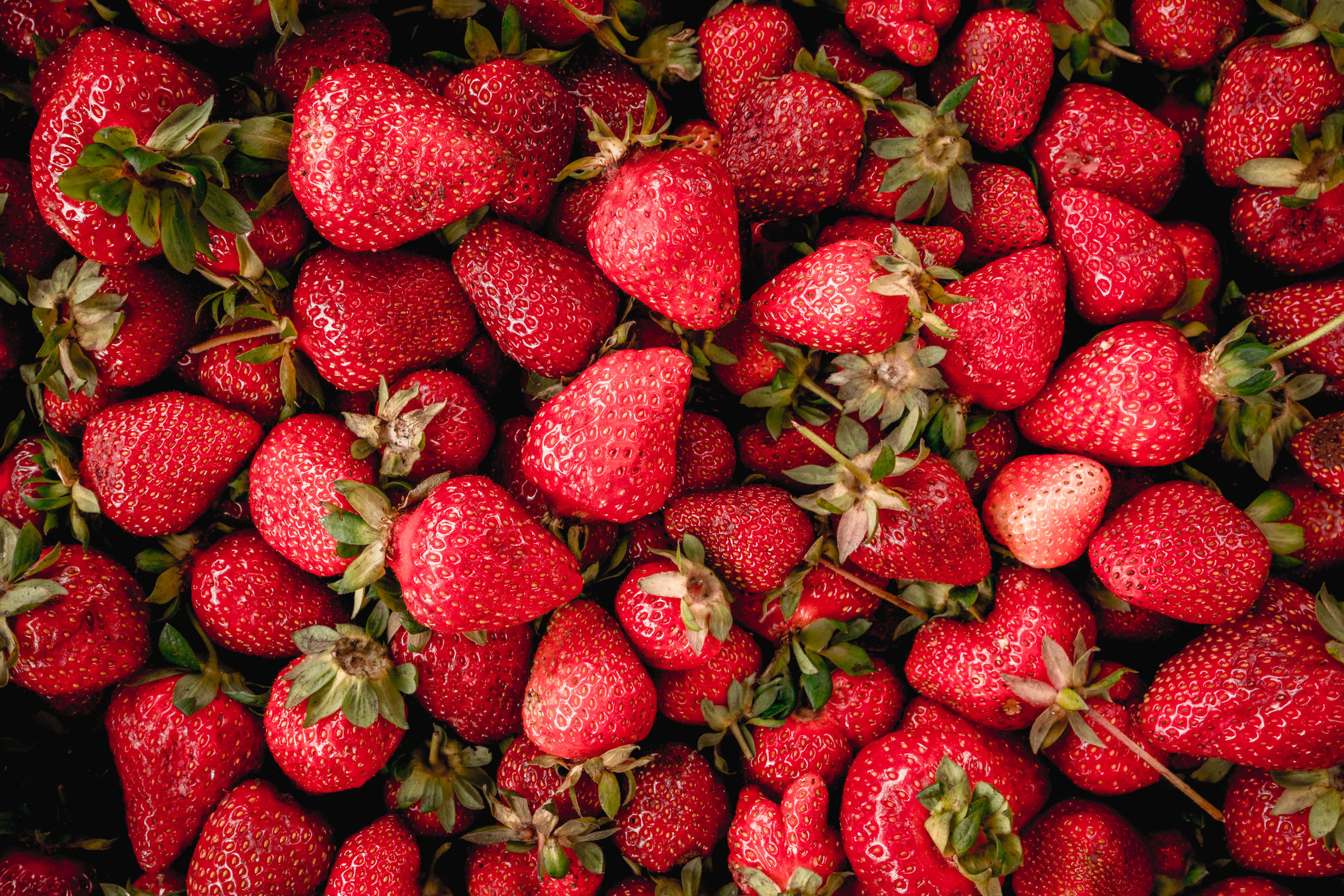 Кавказ: Ростов-на-Дону, Пятигорск, Владикавказ, Махачкала. Фотограф в Хабаровске. Фотография за 24 часа